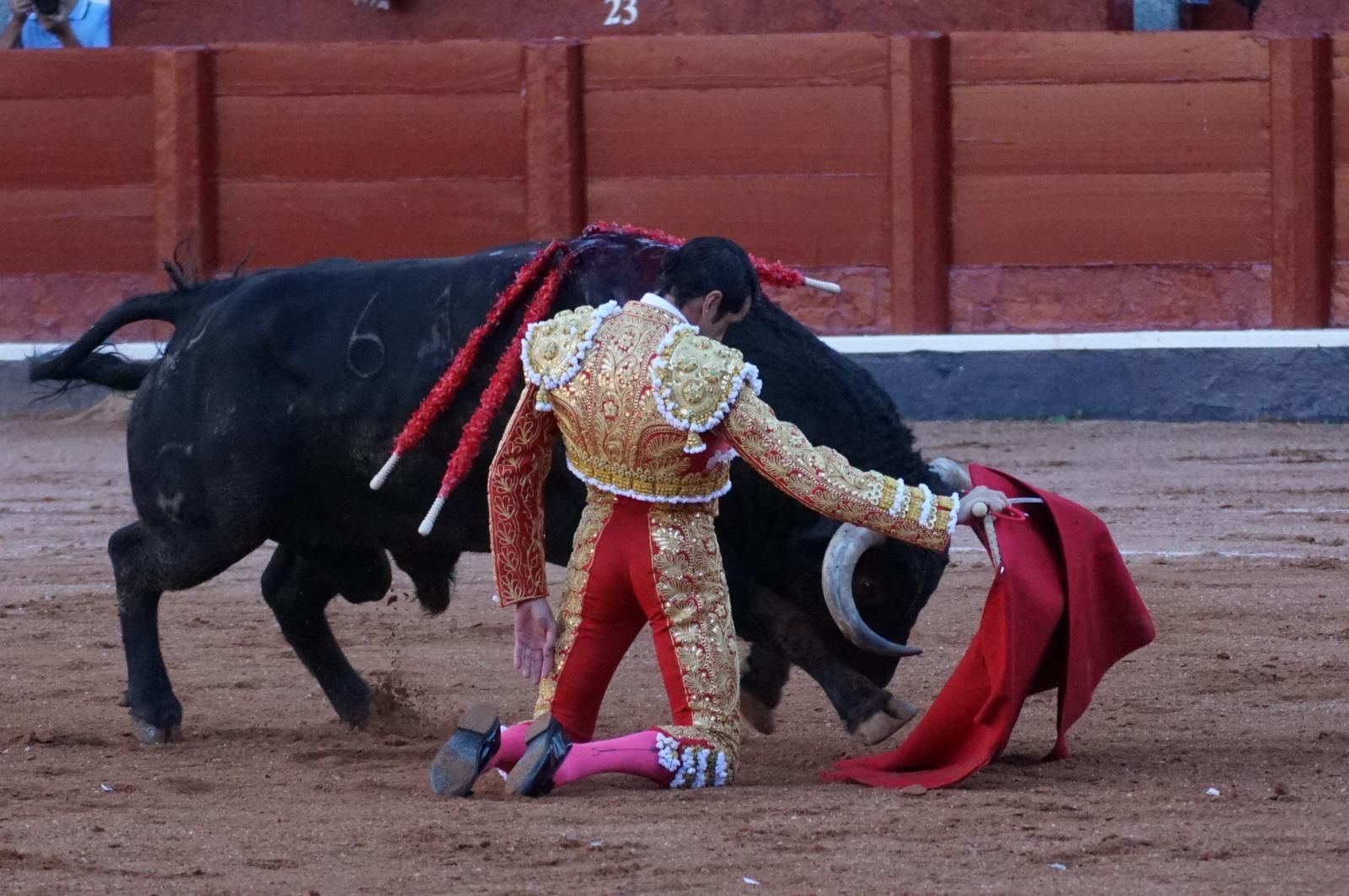 Emilio de Justo, Juan Ortega y Roca Rey inauguran el cartel de figuras en la feria de Salamanca: la corrida de Garcigrande en imágenes