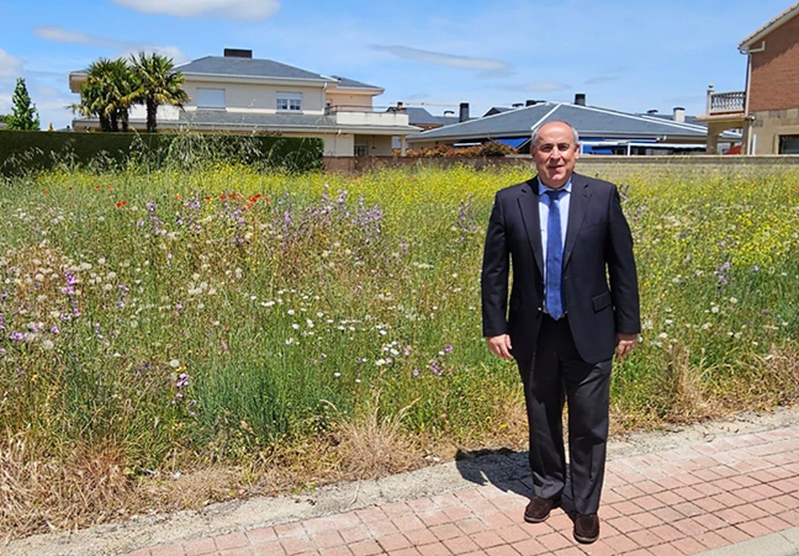 Limpieza de parcelas en Santa Marta de Tormes