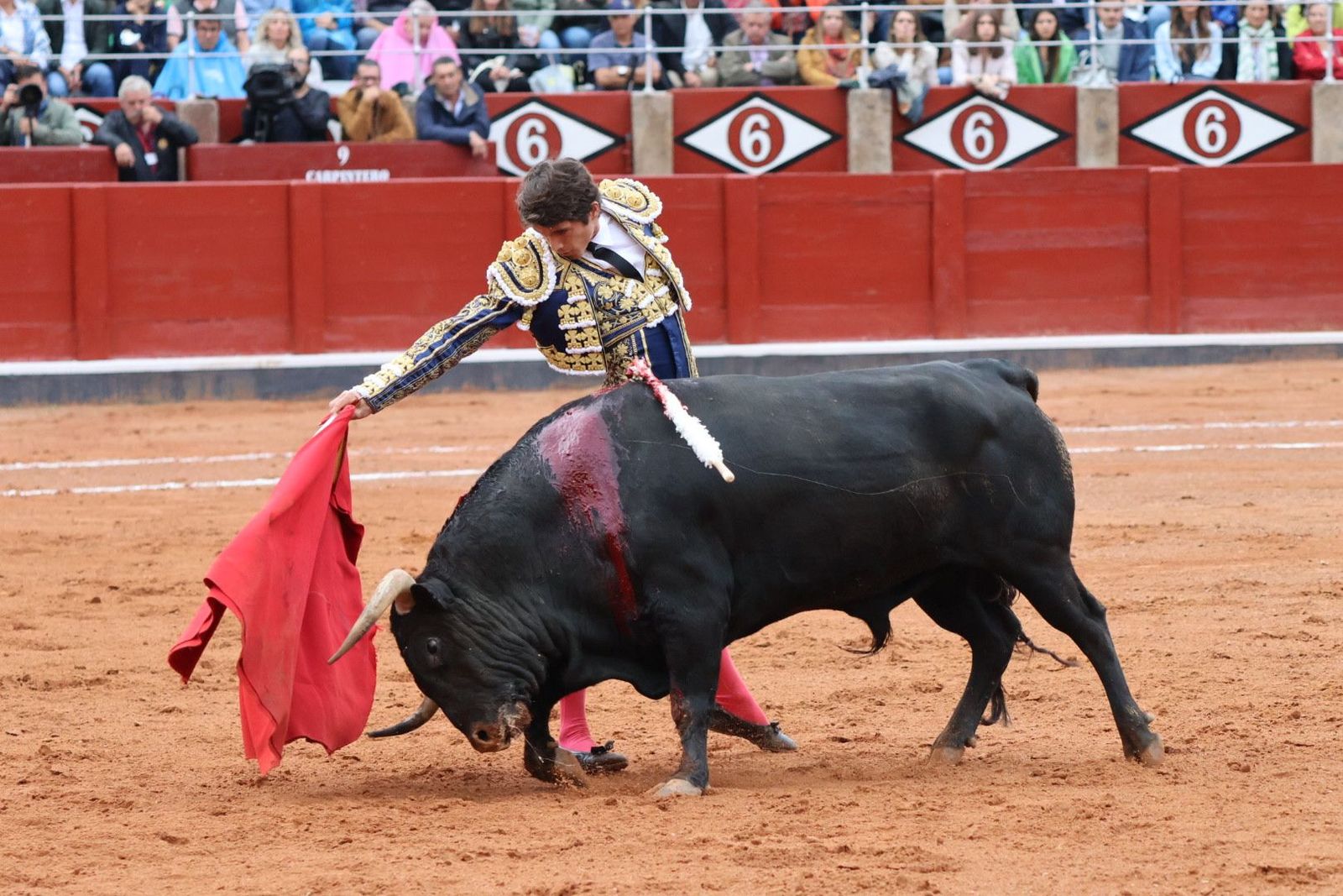 20230916182158-img-5510