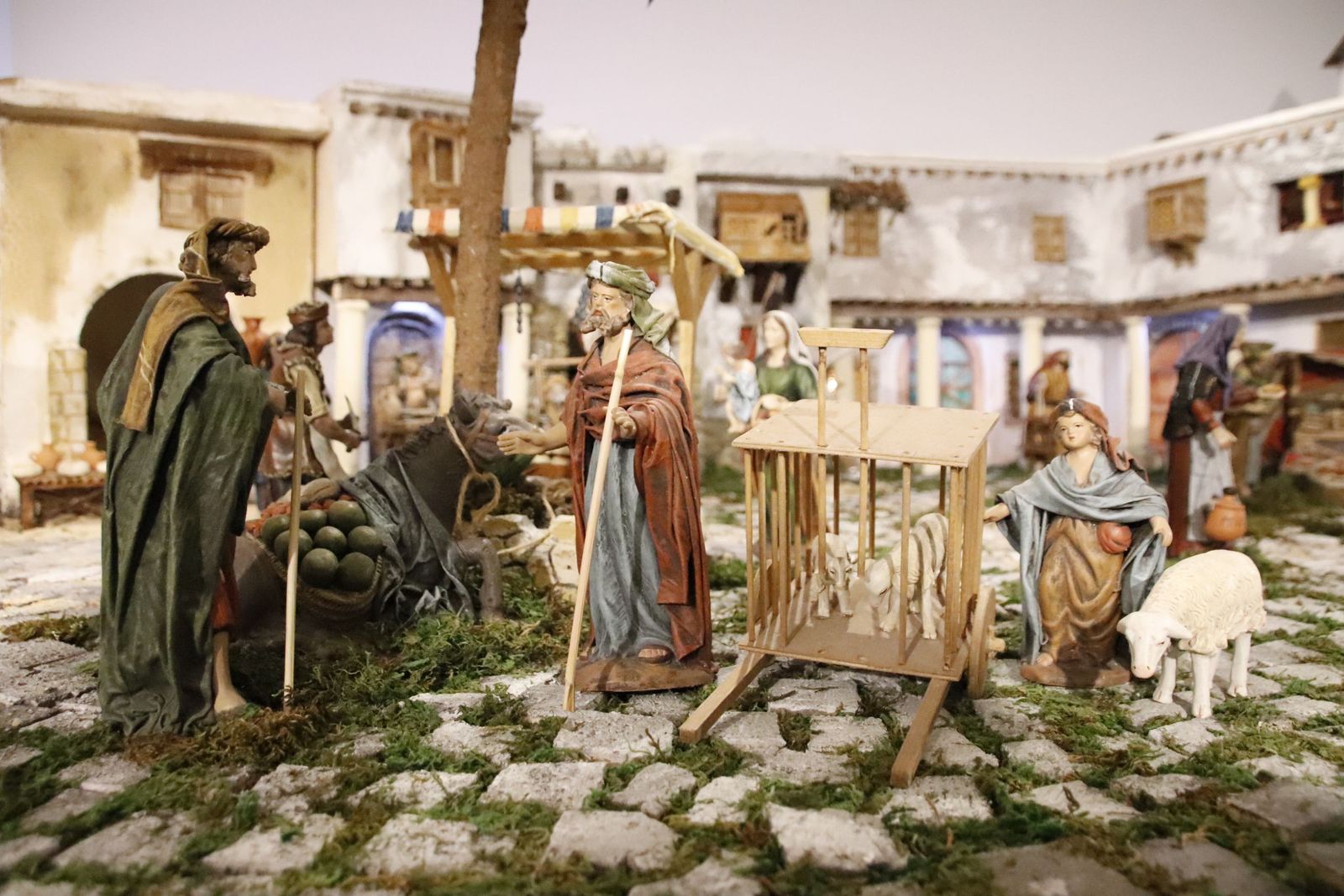 20221201130455-mg-4649