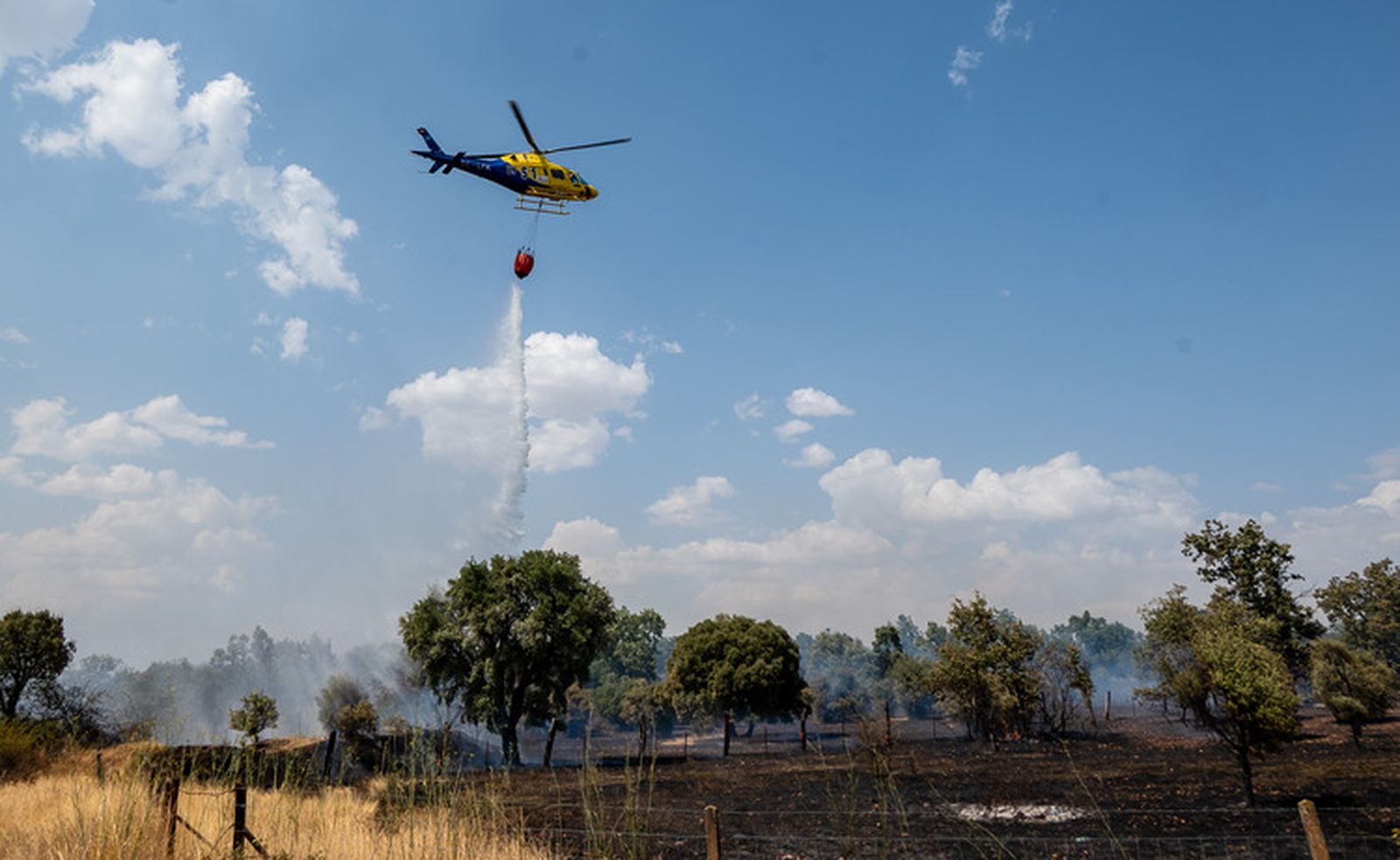 El fuego quema una zona de pasto en los entornos de la N-620 y la A-62 en Valdecarpinteros