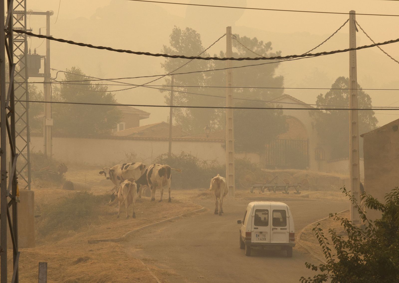 incendio-en-navalacruz-y-localidades-adyacentes-avila-foto-ical-14