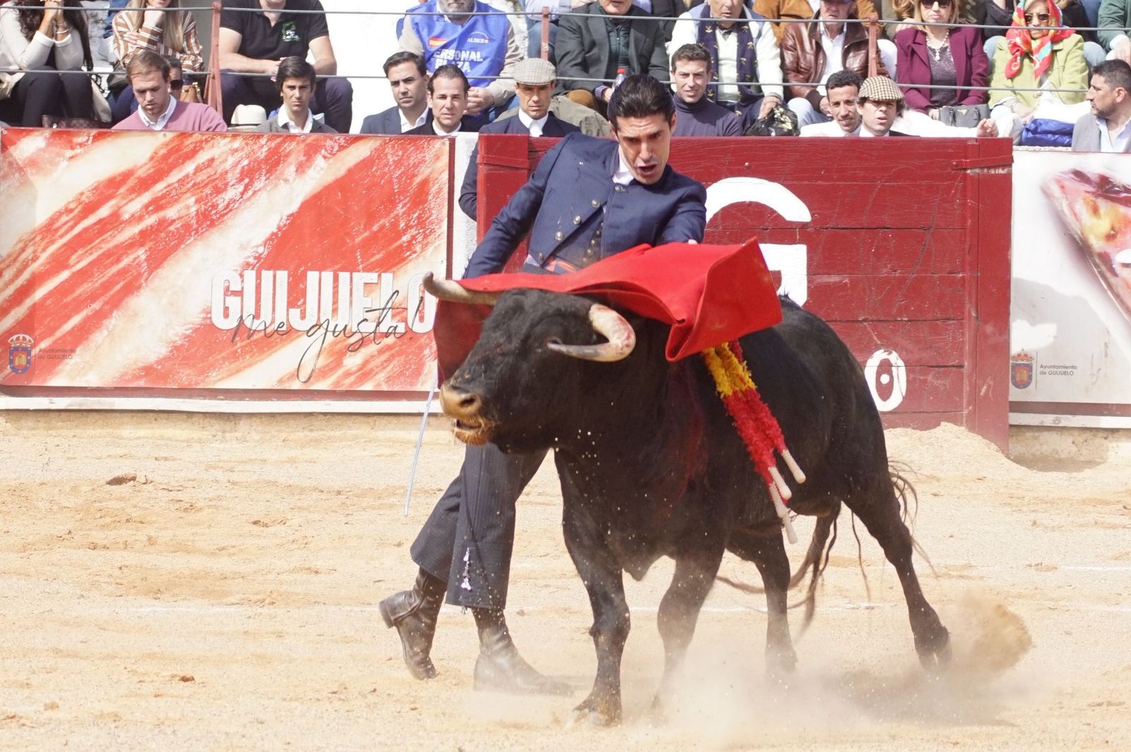 Festival taurino solidario por la esclerosis múltiple en Guijuelo