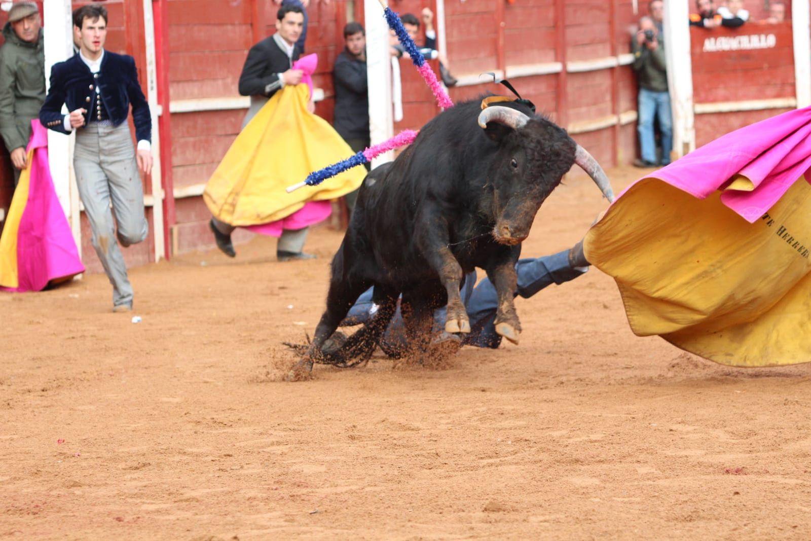 whatsapp-image-2023-02-21-at-18-28-26