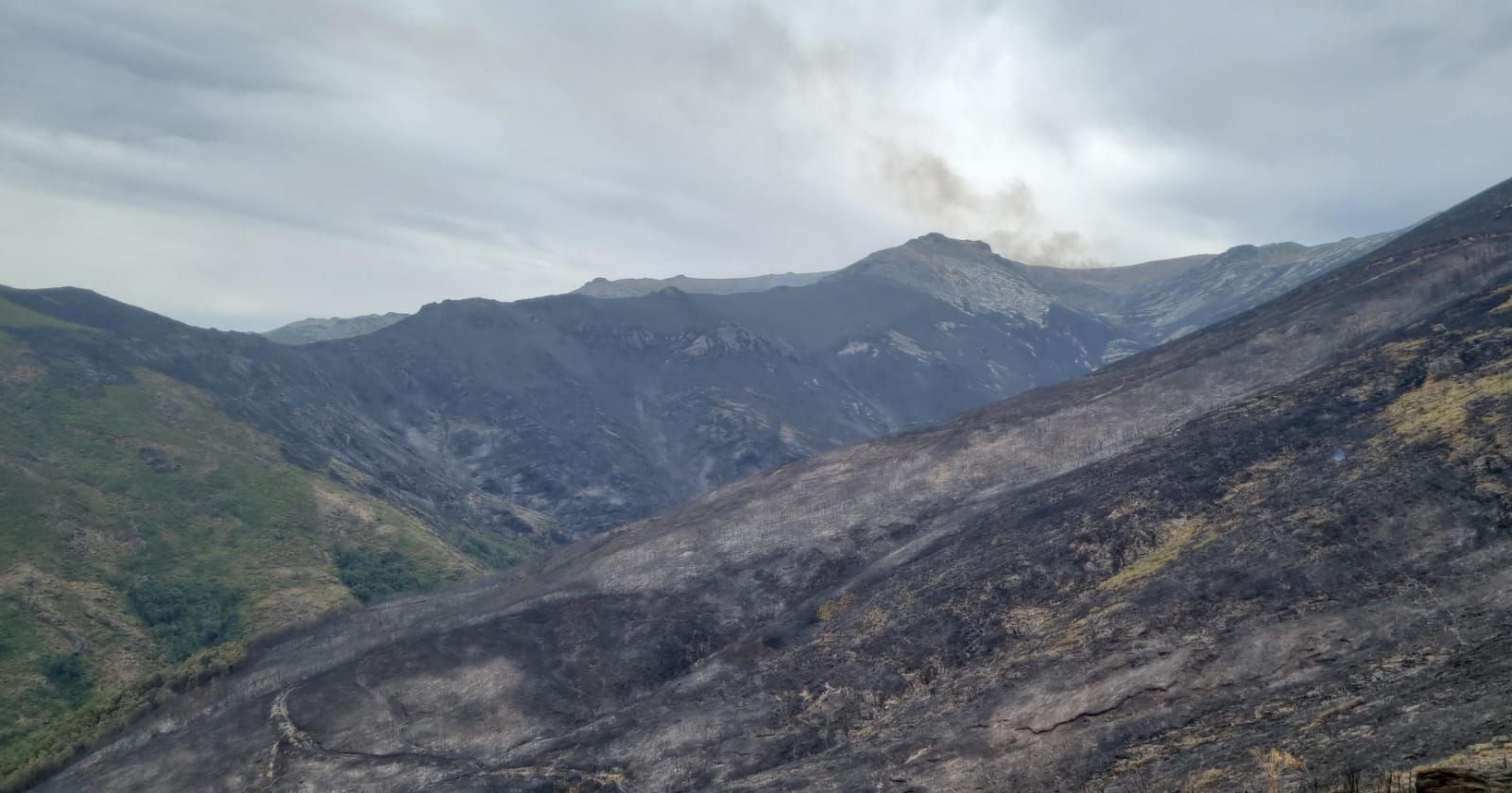 AT_Brif Incendio Porto. Archivo