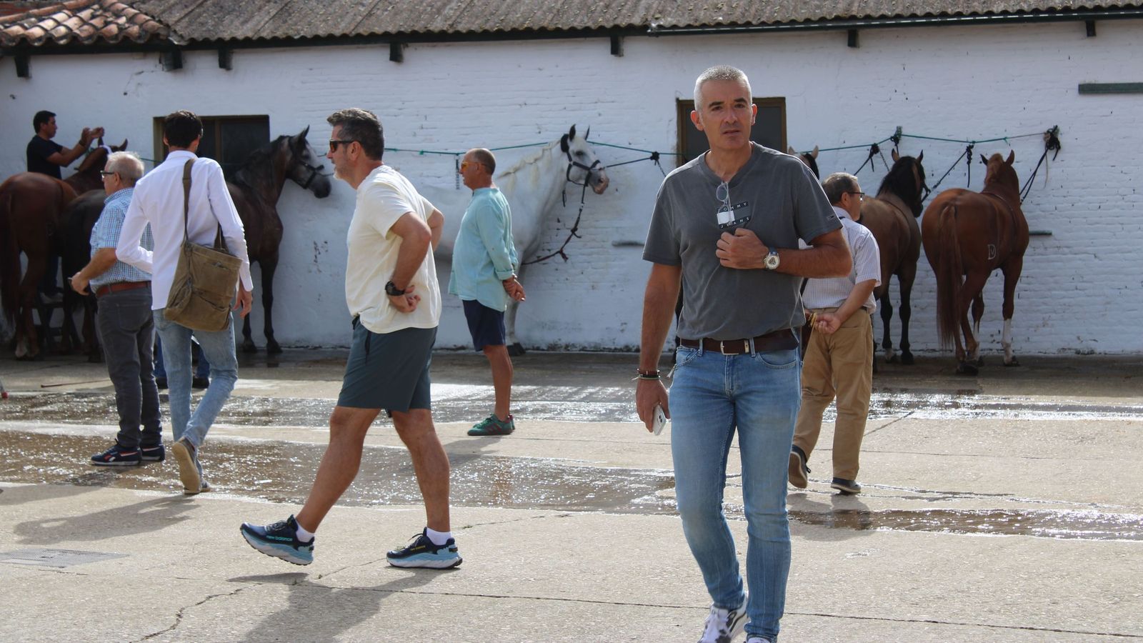 Un encierro de grata presentación de Sánchez y Sánchez para corrida de rejones de la feria