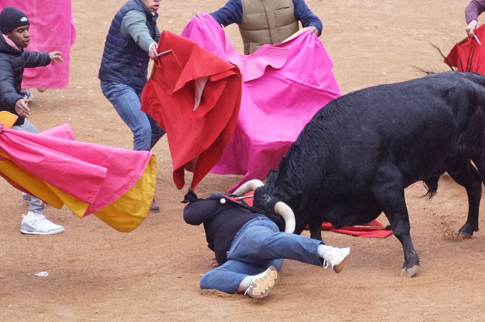 Capea matinal de domingo de carnaval en Ciudad Rodrigo (41).jpeg