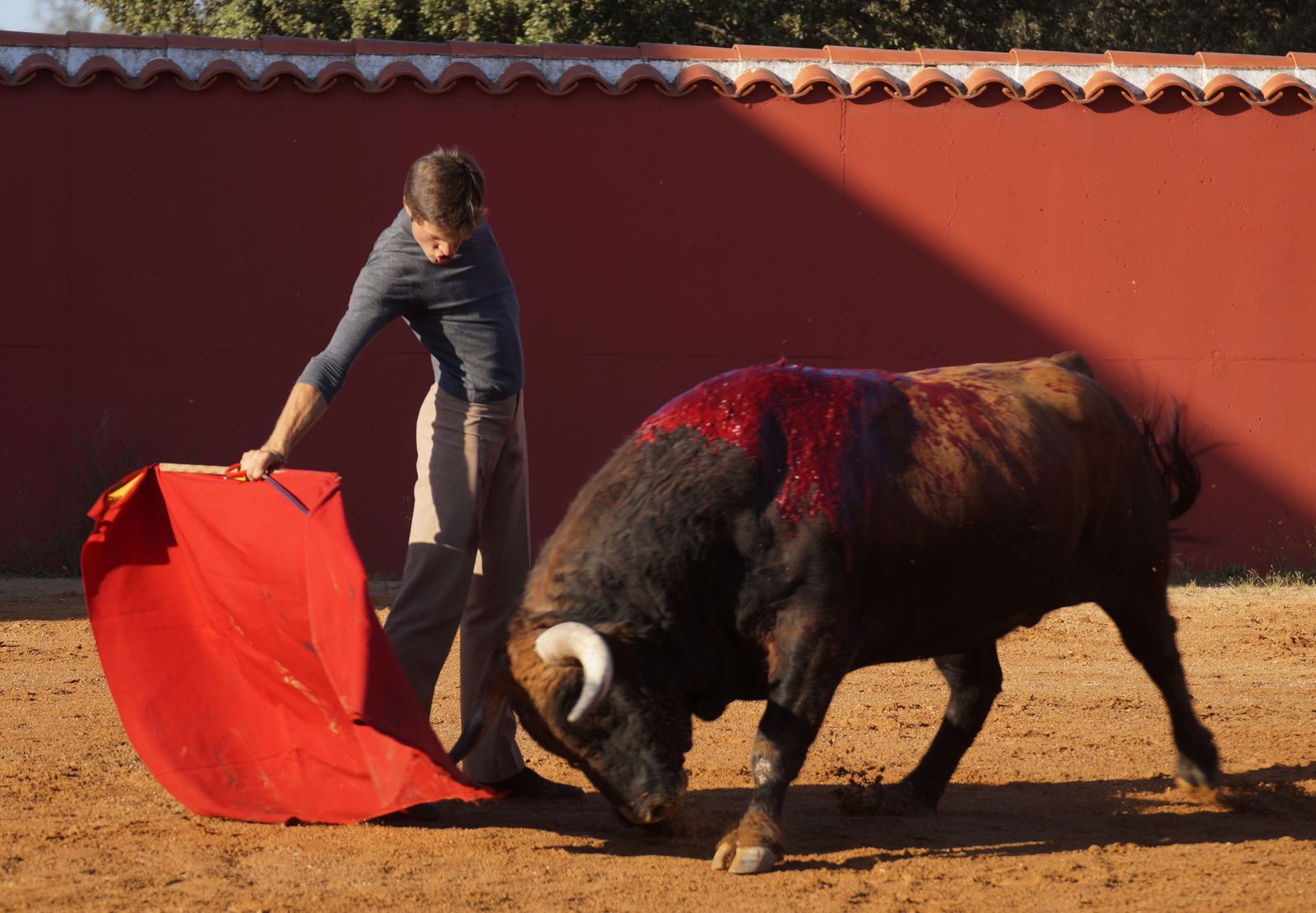 juan-leal-torero-8