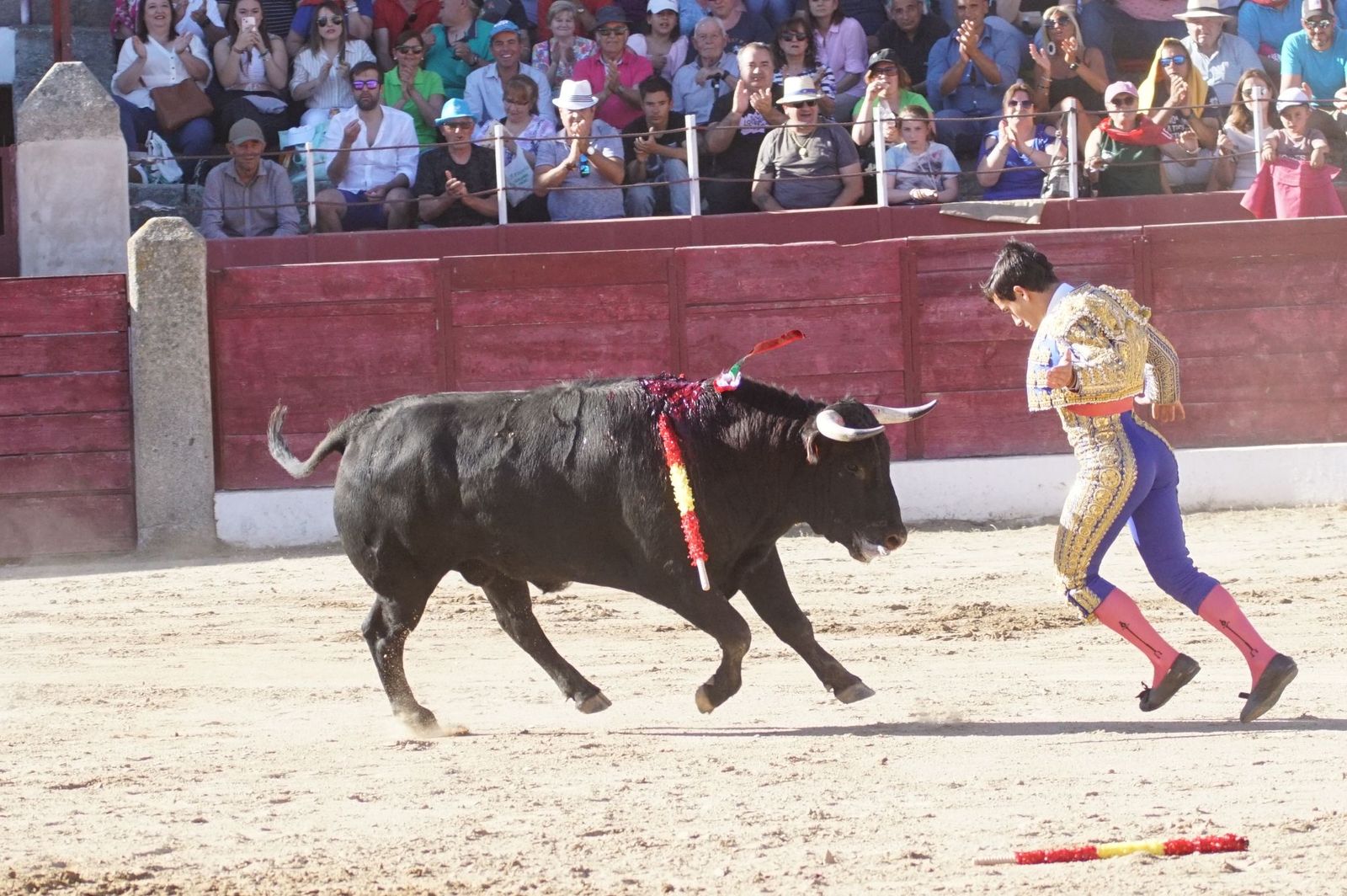 whatsapp-image-2024-06-02-at-22-12-13-1