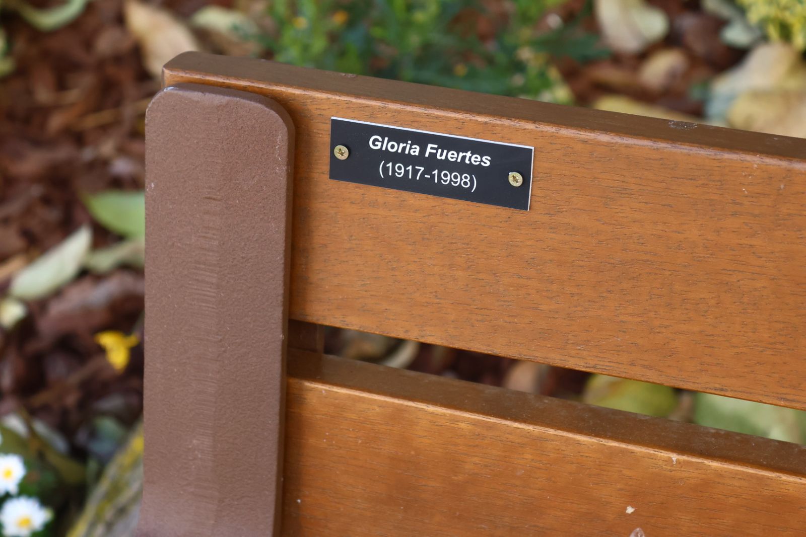 Cuentacuentos y quedada de lectura en el Barrio del Oeste