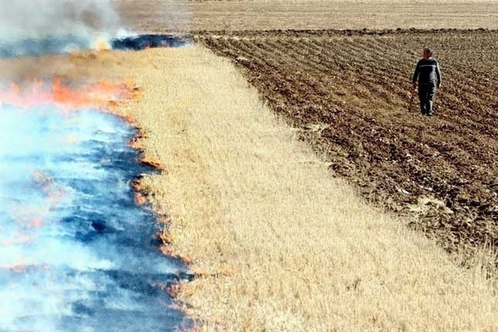 La Junta iniciará en octubre la quema controlada de cunetas contra los topillos