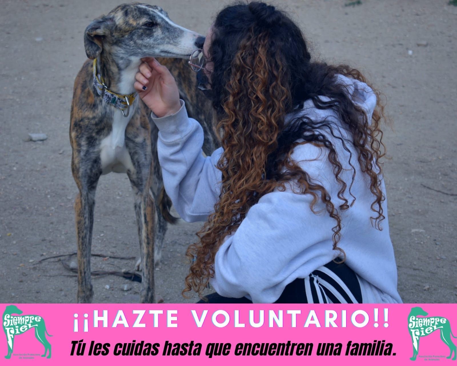 Hazte voluntario 'Siempre Fiel'