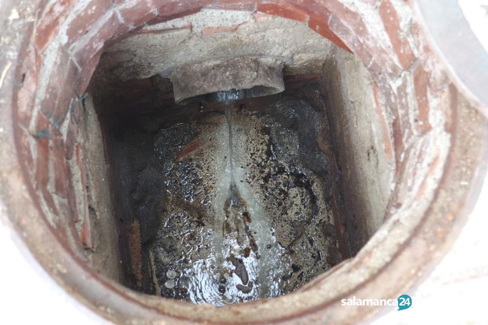 Control de plagas (24) 1200x800