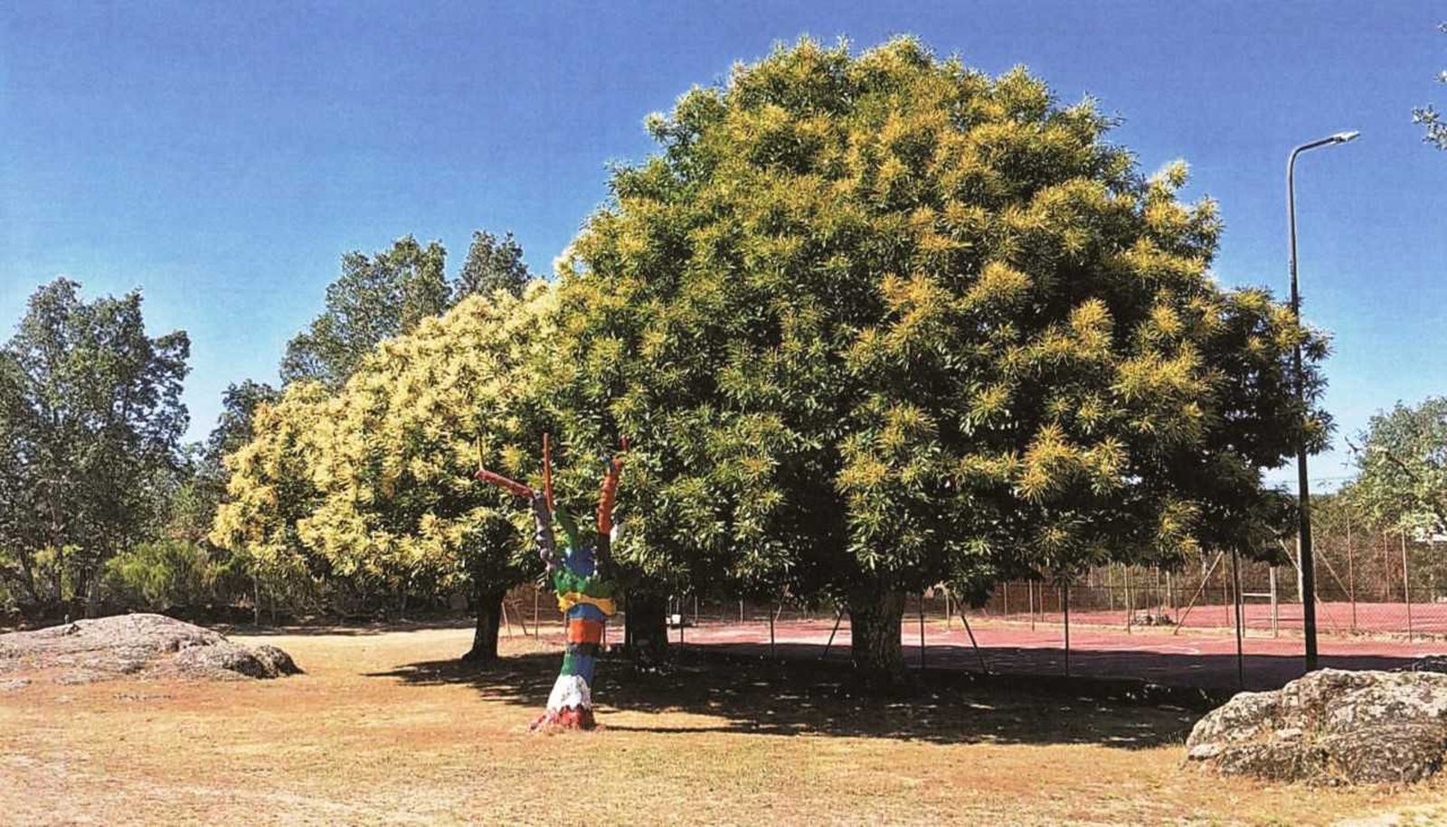 Una imagen de la exposición