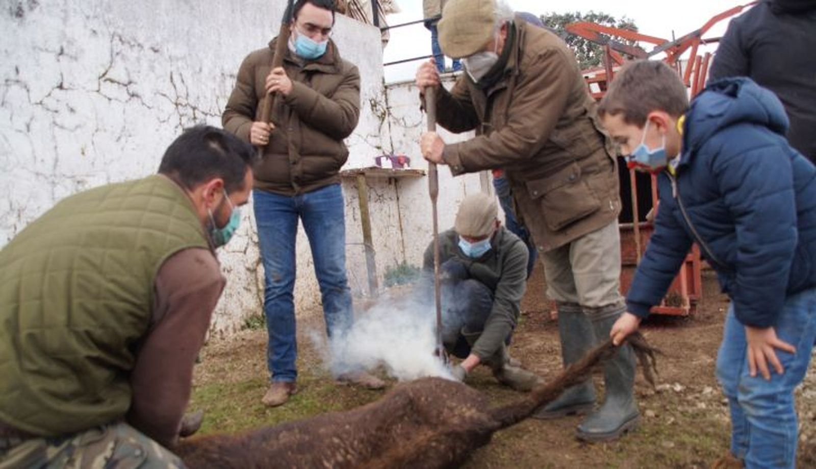 Herradero de la ganadería Pilar Población 