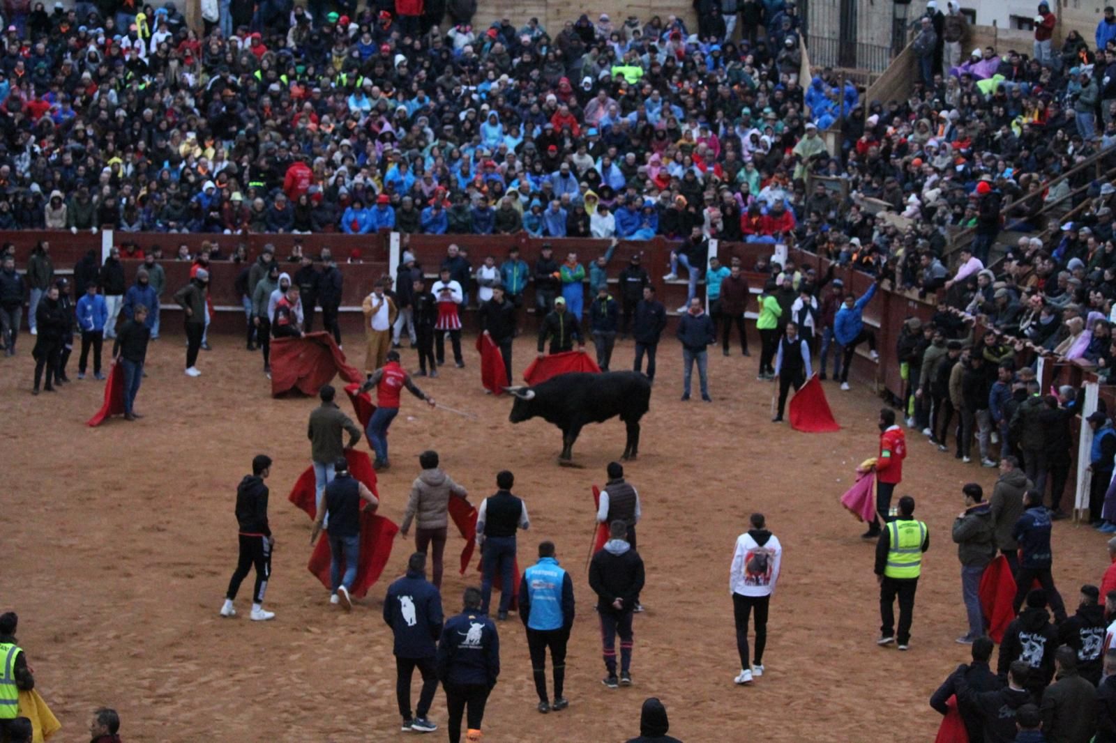 ambiente-y-capea-vespertina-sabado-de-carnaval-en-ciudad-rodrigo-2025-fotos-belen-hurtado-15