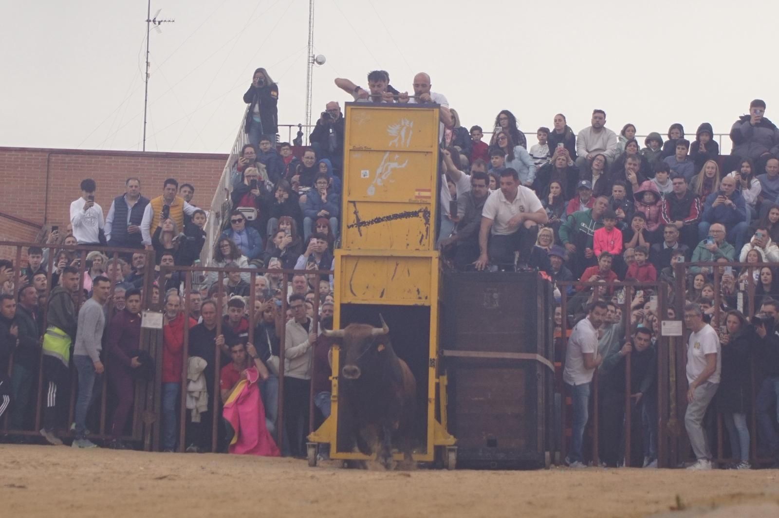 Villoria, toro del Voto