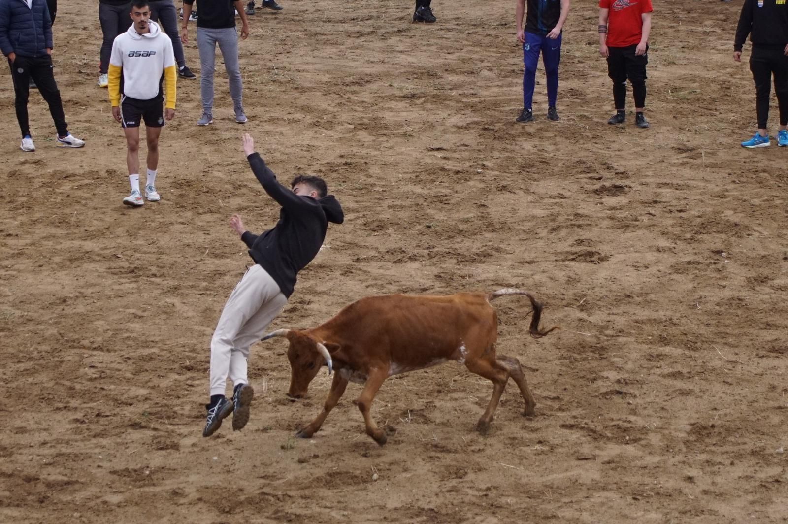 whatsapp-image-2023-05-22-at-20-19-29