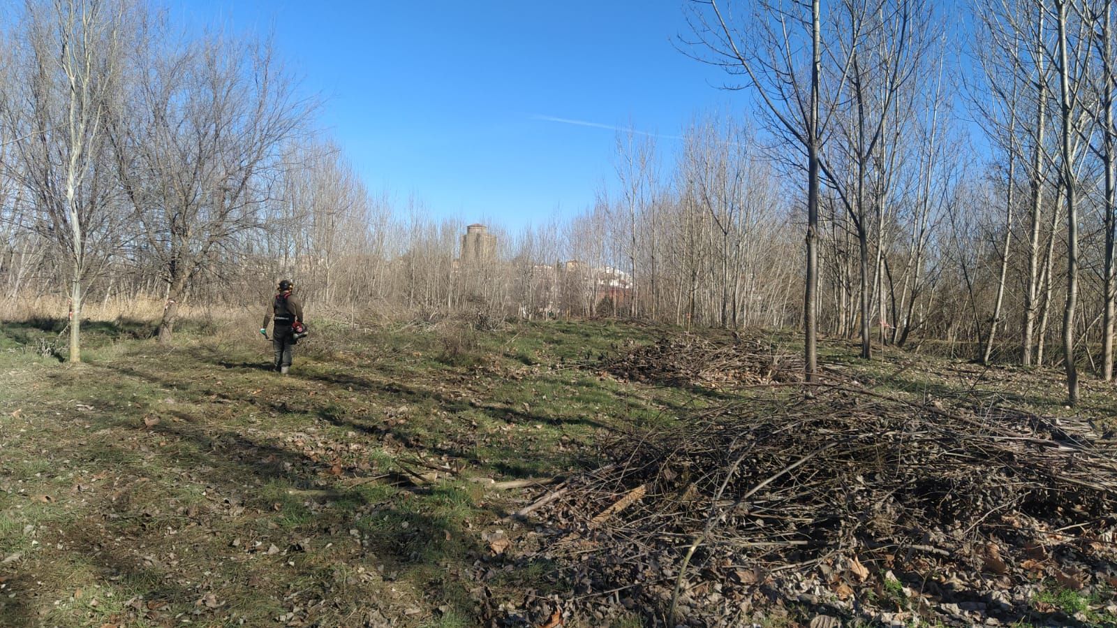 Trabajos de recuperación de la zona de las playas en Alba de Tormes