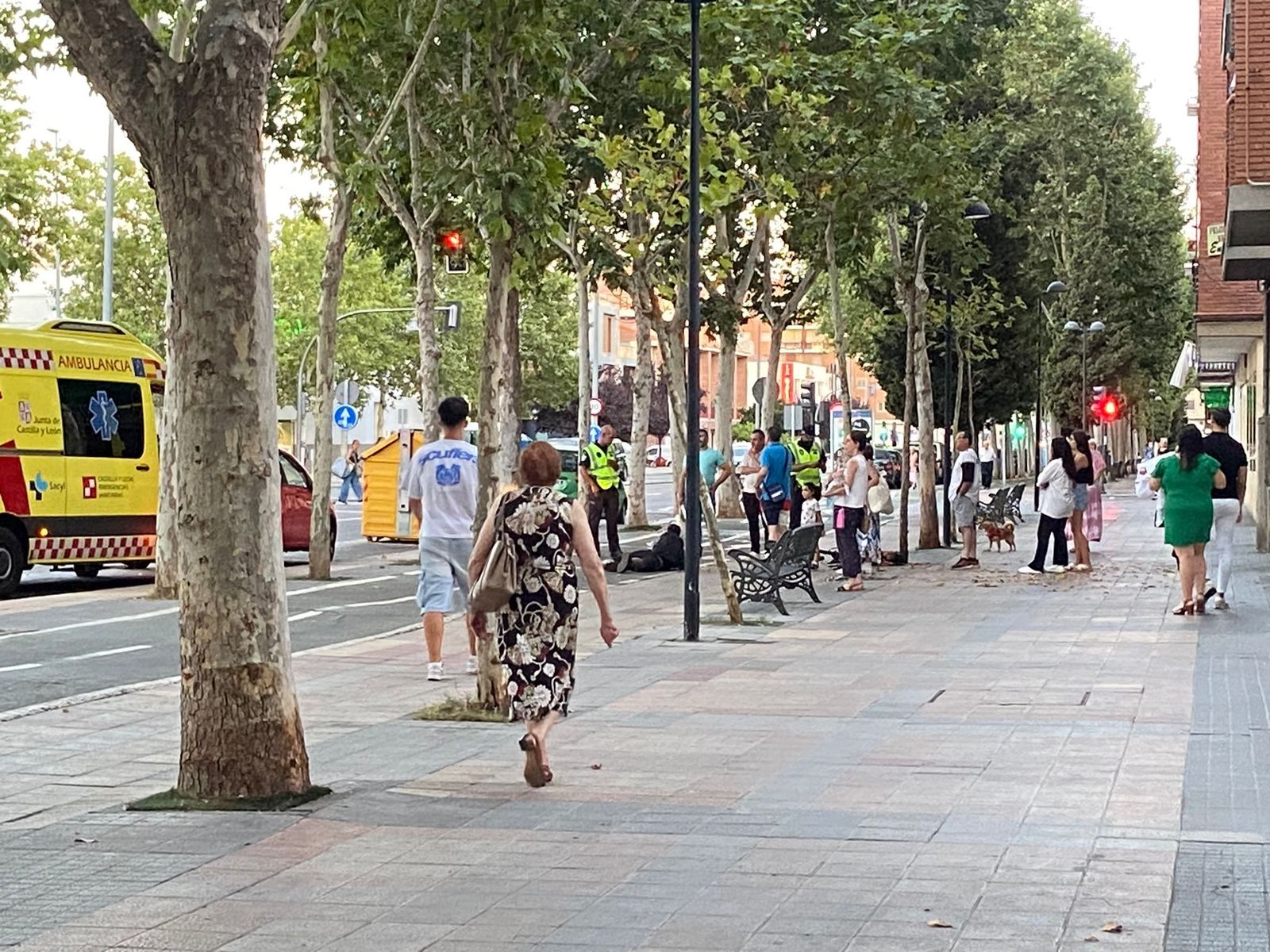 whatsapp-image-2024-08-24-at-21-01-52