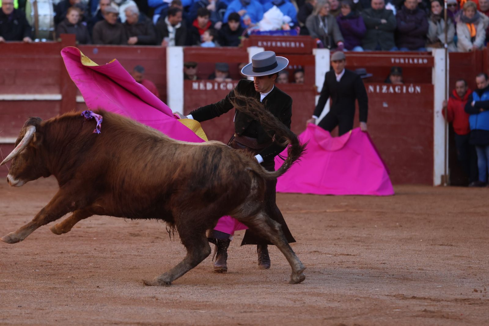 Festival taurino del Sábado en el Carnaval del Toro 2026 de Ciudad Rodrigo
