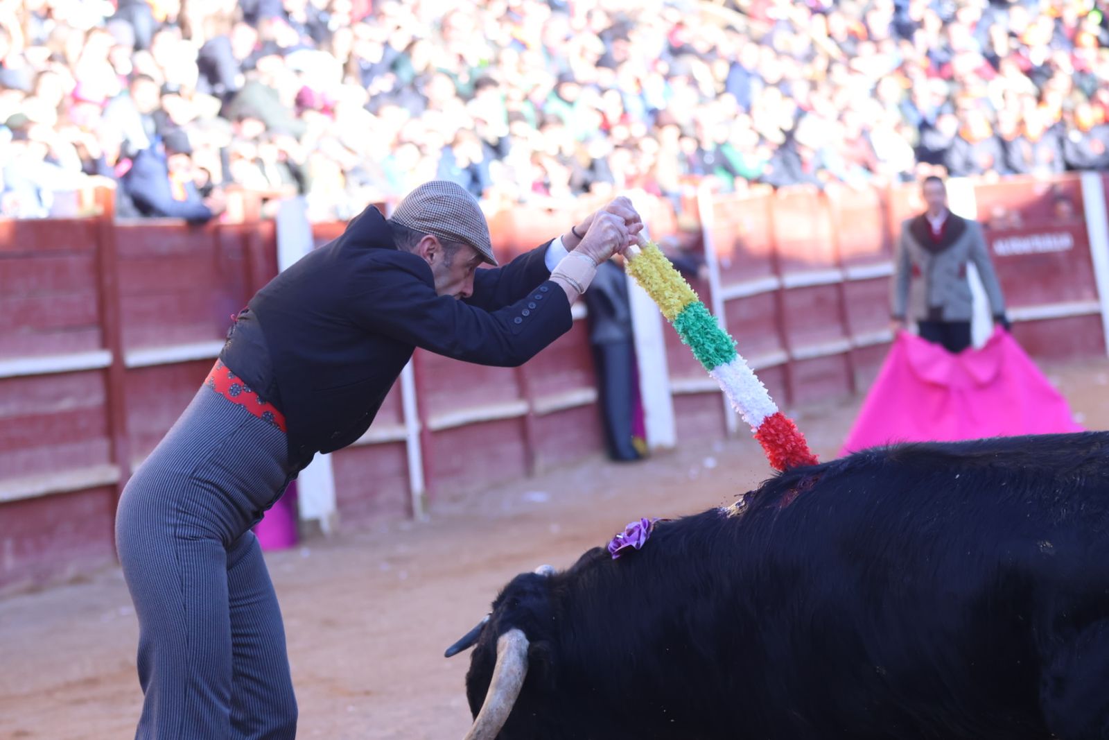 Festival taurino del Sábado en el Carnaval del Toro 2026 de Ciudad Rodrigo