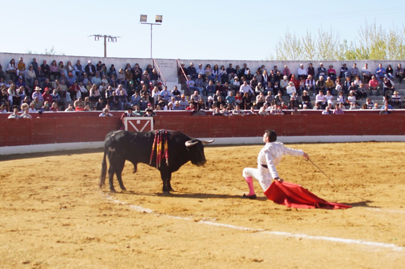 novillada-con-picadores-en-villoria-40