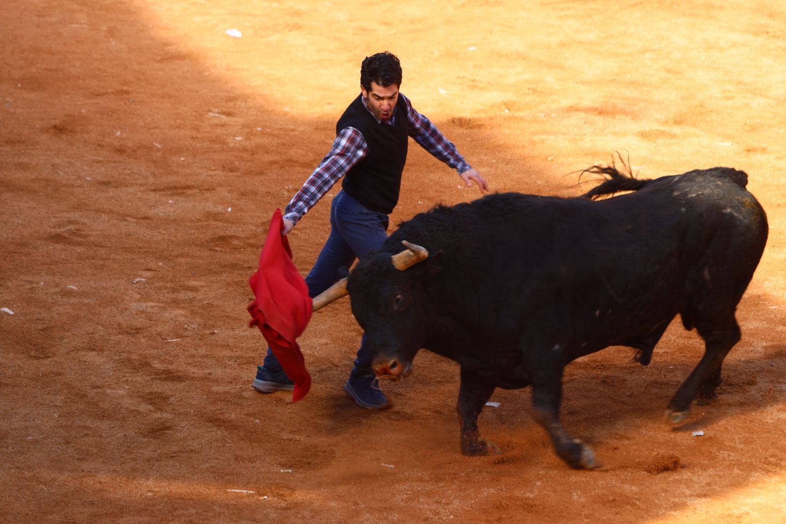Capea de mañana en el martes del Carnaval del Toro de Ciudad Rodrigo