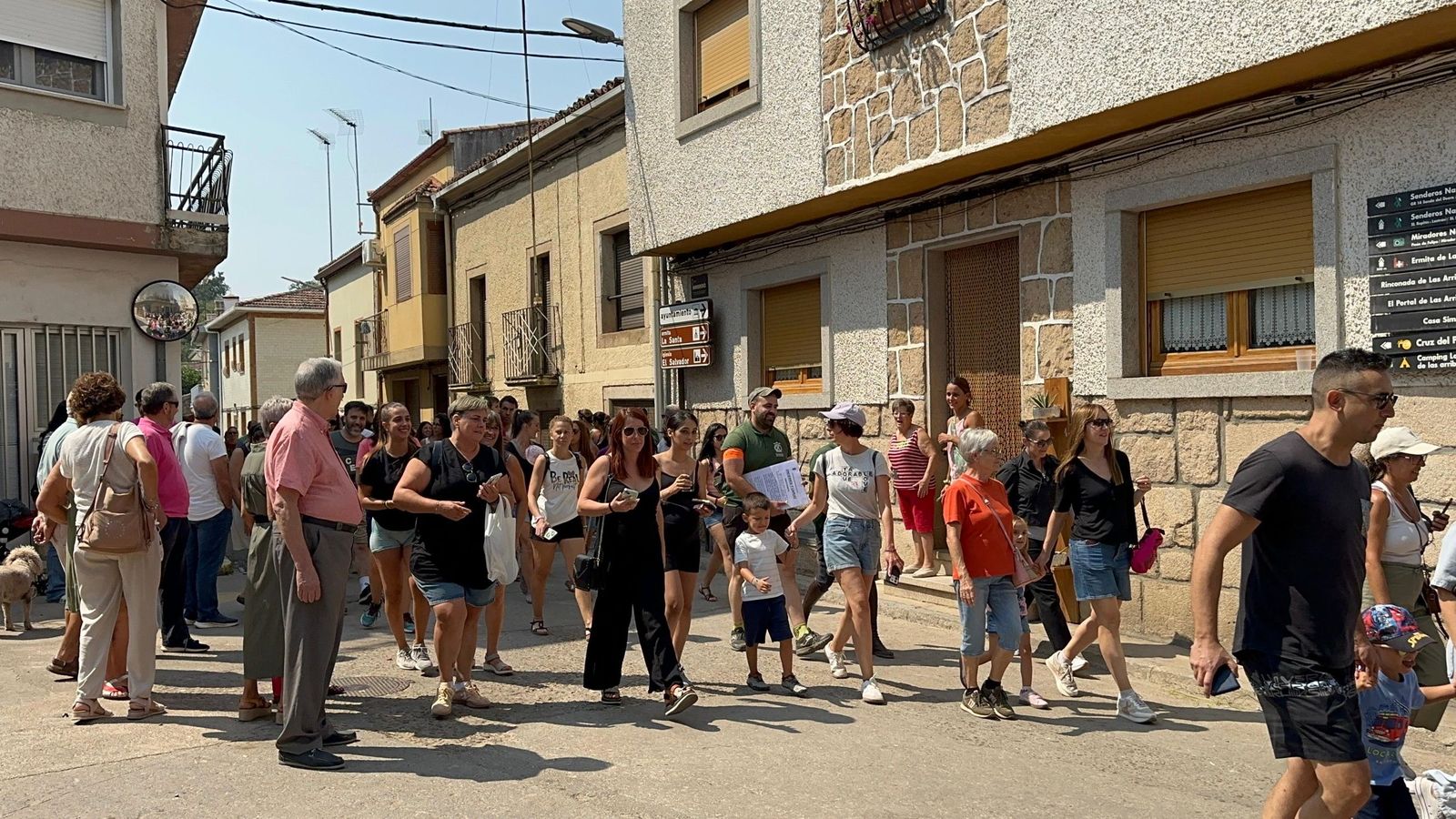 Mini bueyes en Aldeadávila