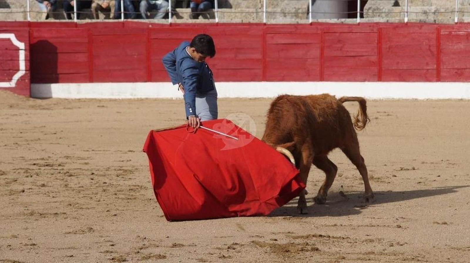 Mi sueño es ser torero, pero solo pienso en ir ascendiendo poco a poco