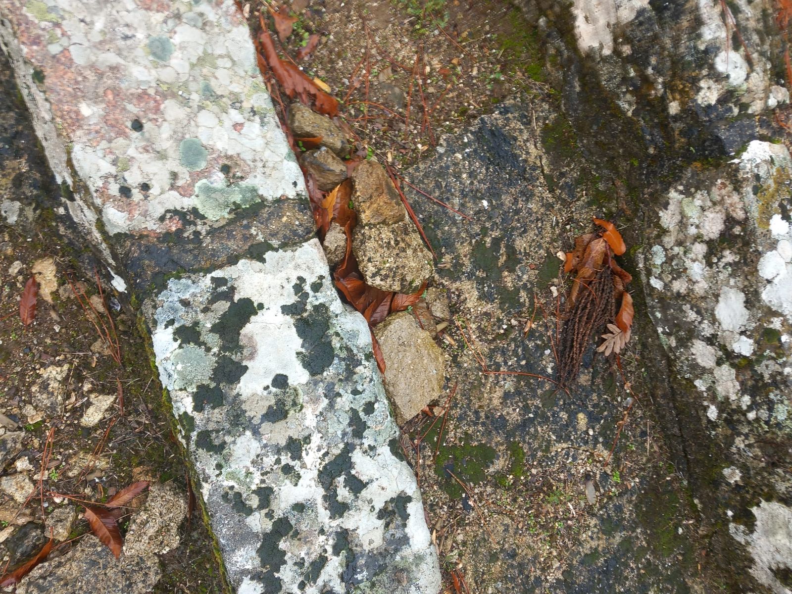 Plaza de Toros La Ancianita de Béjar  (24).jpeg