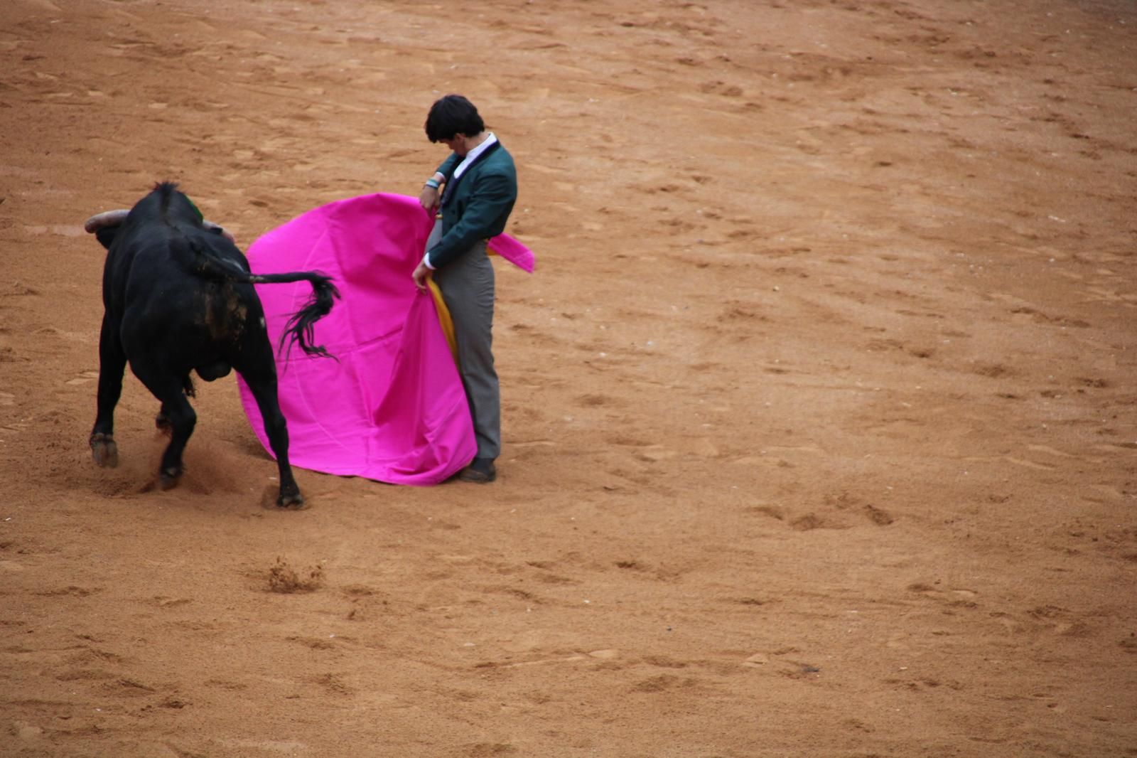 whatsapp-image-2025-03-02-at-18-54-59