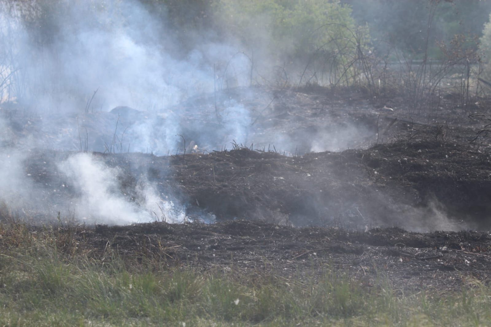 whatsapp-image-2023-05-09-at-18-36-25-1