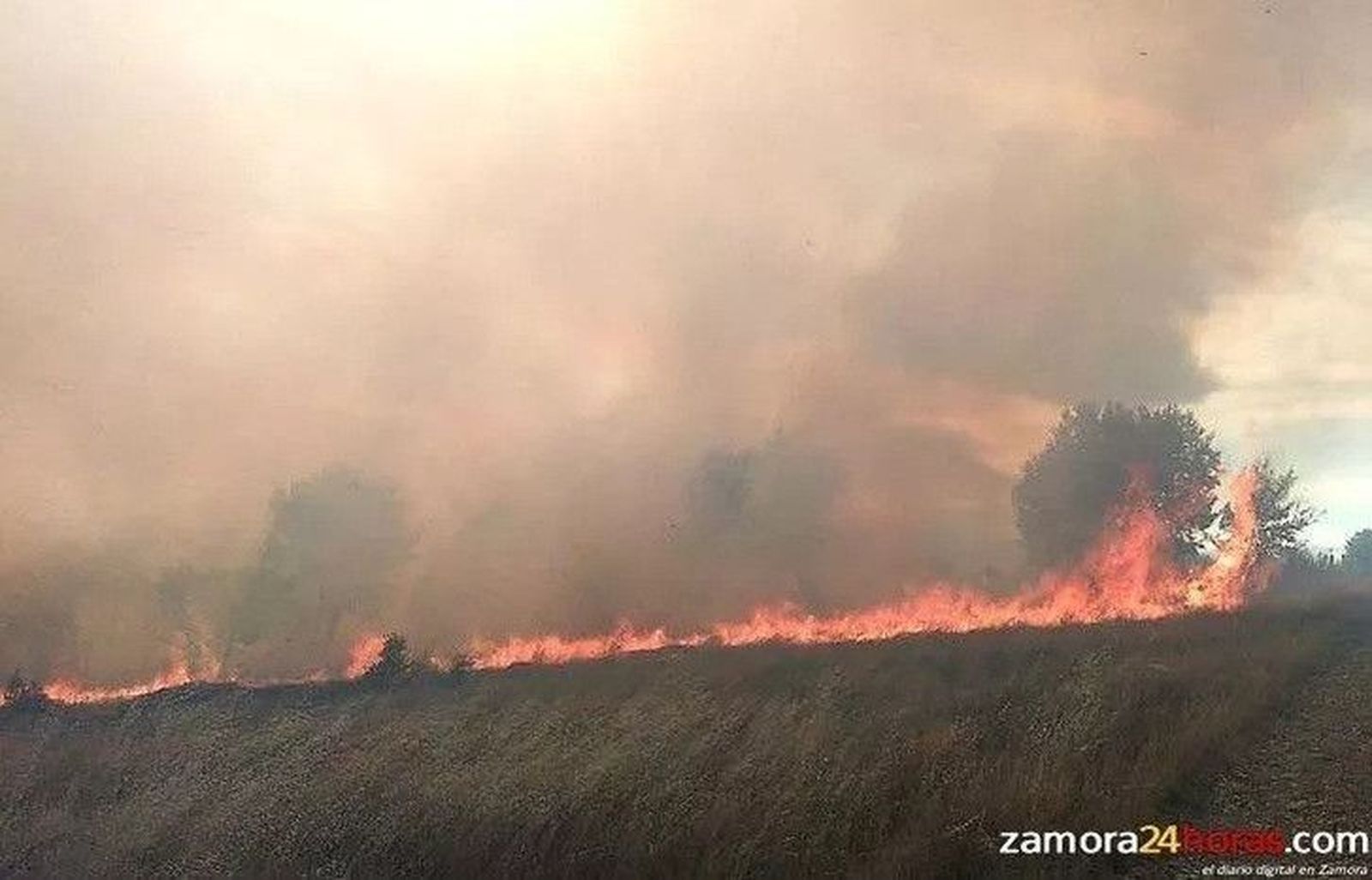 El incendio de Cunquilla de Vidriales arrasa 200 hectáreas y podría haber sido provocado