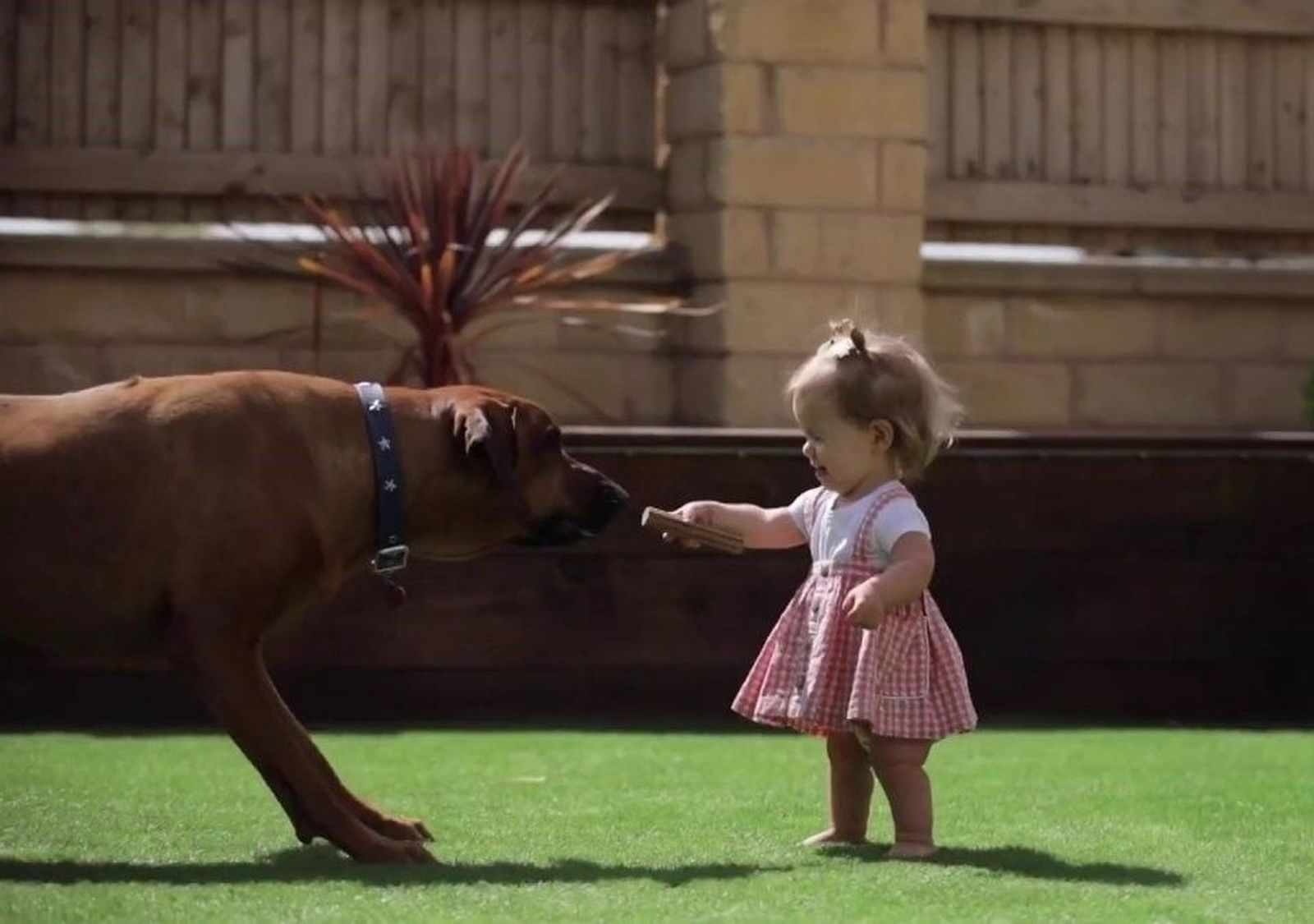Niña dando sus primeros pasos. Foto EP