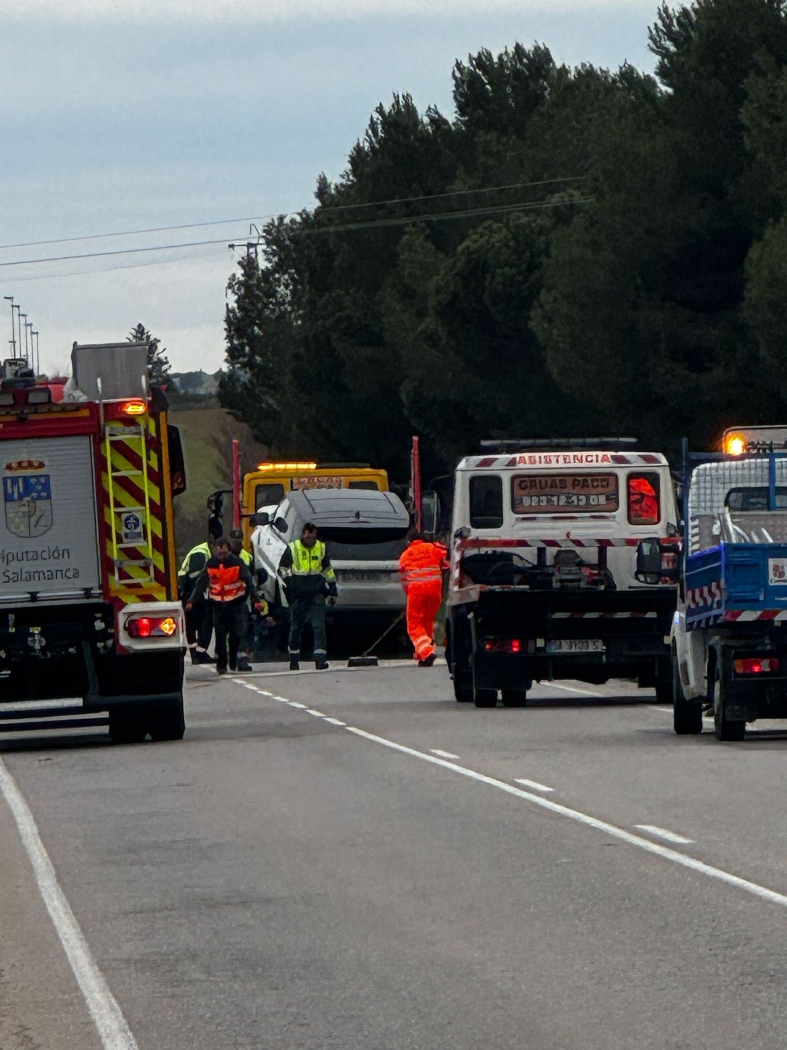 whatsapp-image-2025-03-01-at-18-03-00