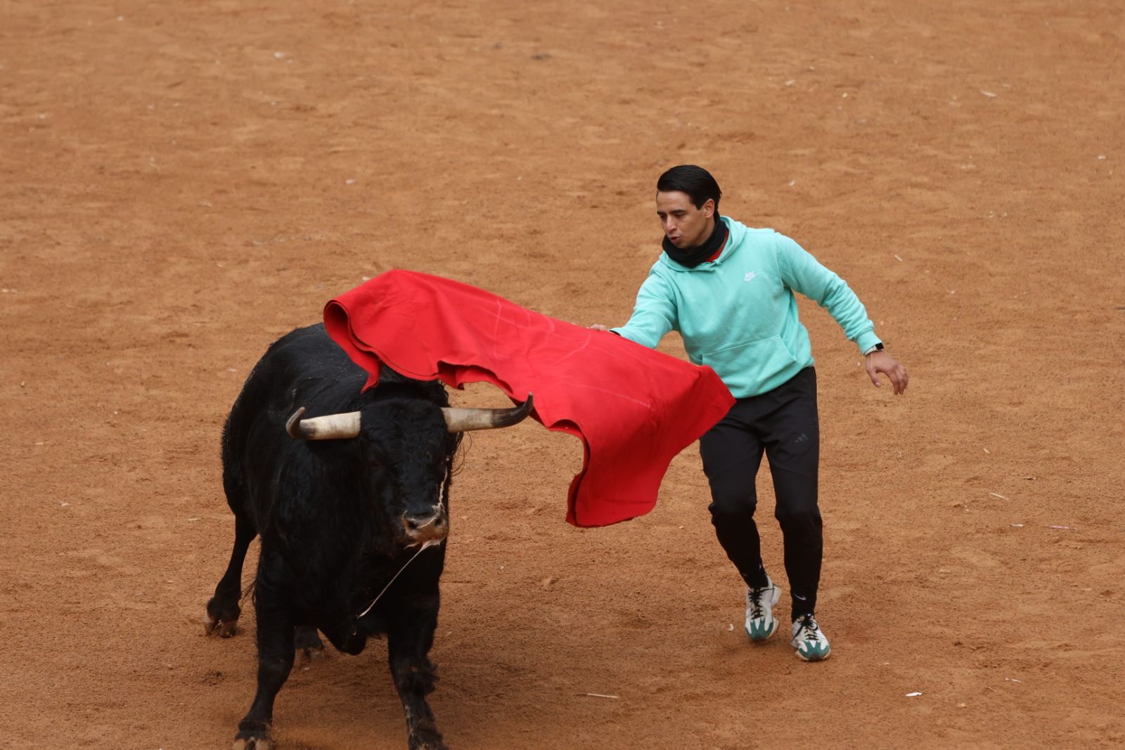 Capea de domingo en el Carnaval del Toro 2026 de Ciudad Rodrigo