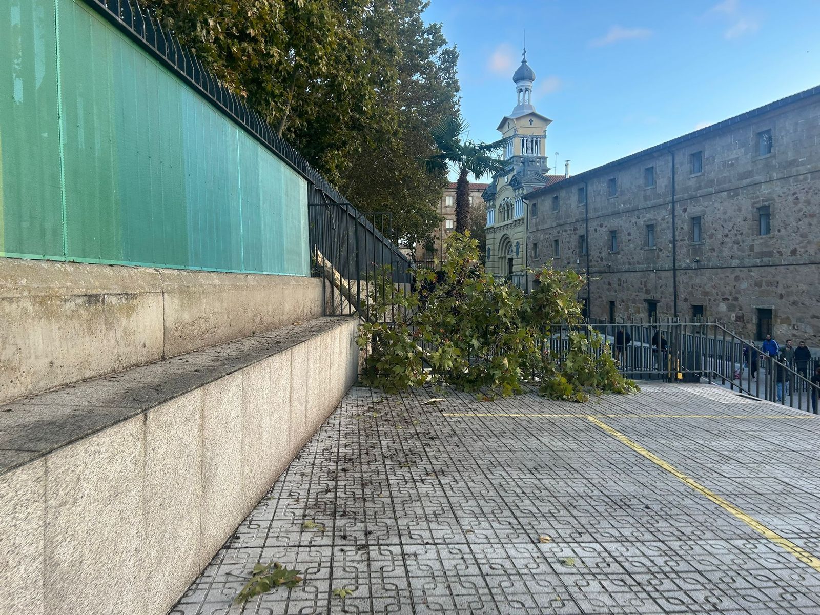 rboles-caidos-en-la-avenida-de-los-reyes-de-espana-1