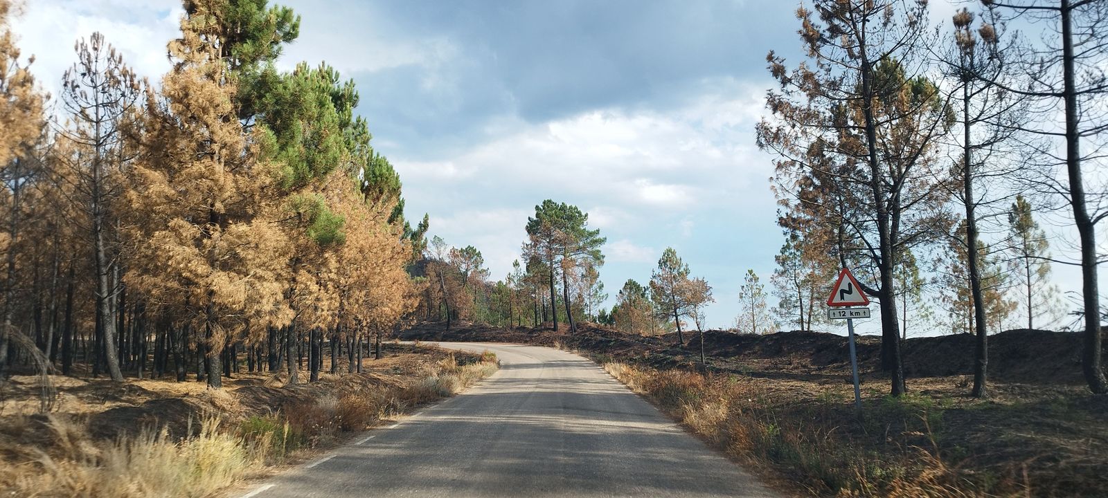 Como se ha quedado el terreno de monsagro tras el incendio