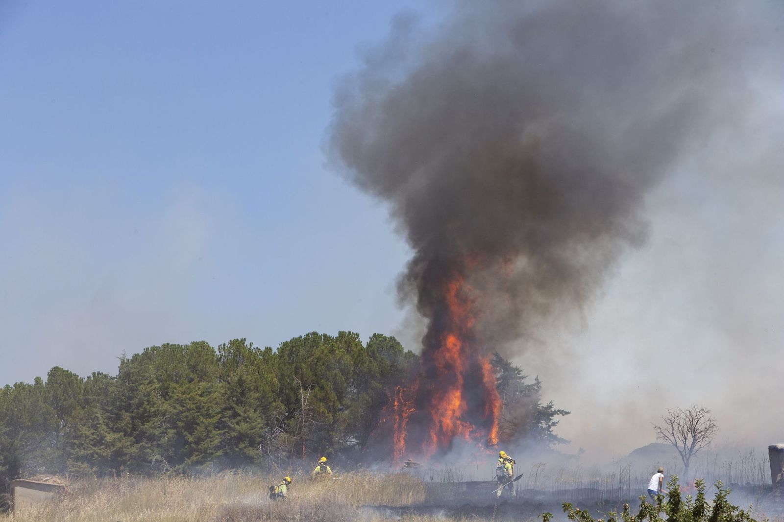 Incendio en Morales del Vino . ICAL (6)