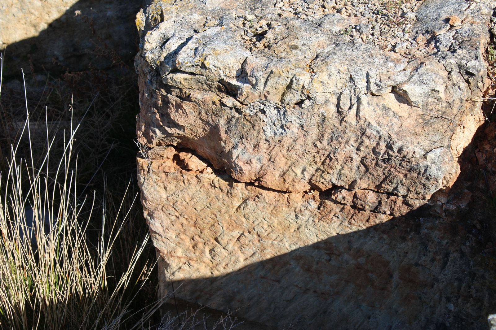 habitat-minero-villamayor-cantera-las-cocinitas-28