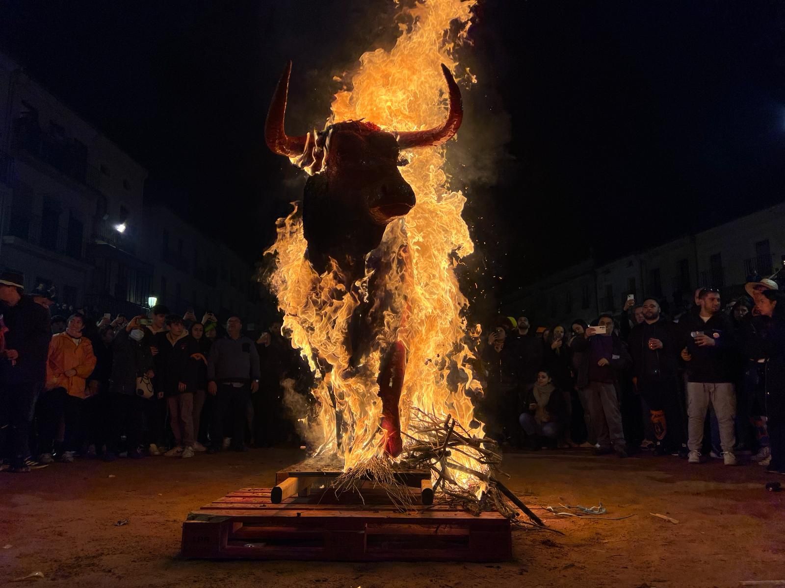 whatsapp-image-2024-02-13-at-21-21-55-3