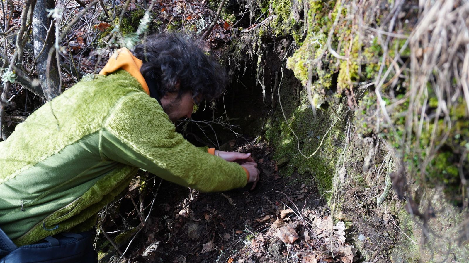 Reforestación con motivo del Día Mundial Forestal