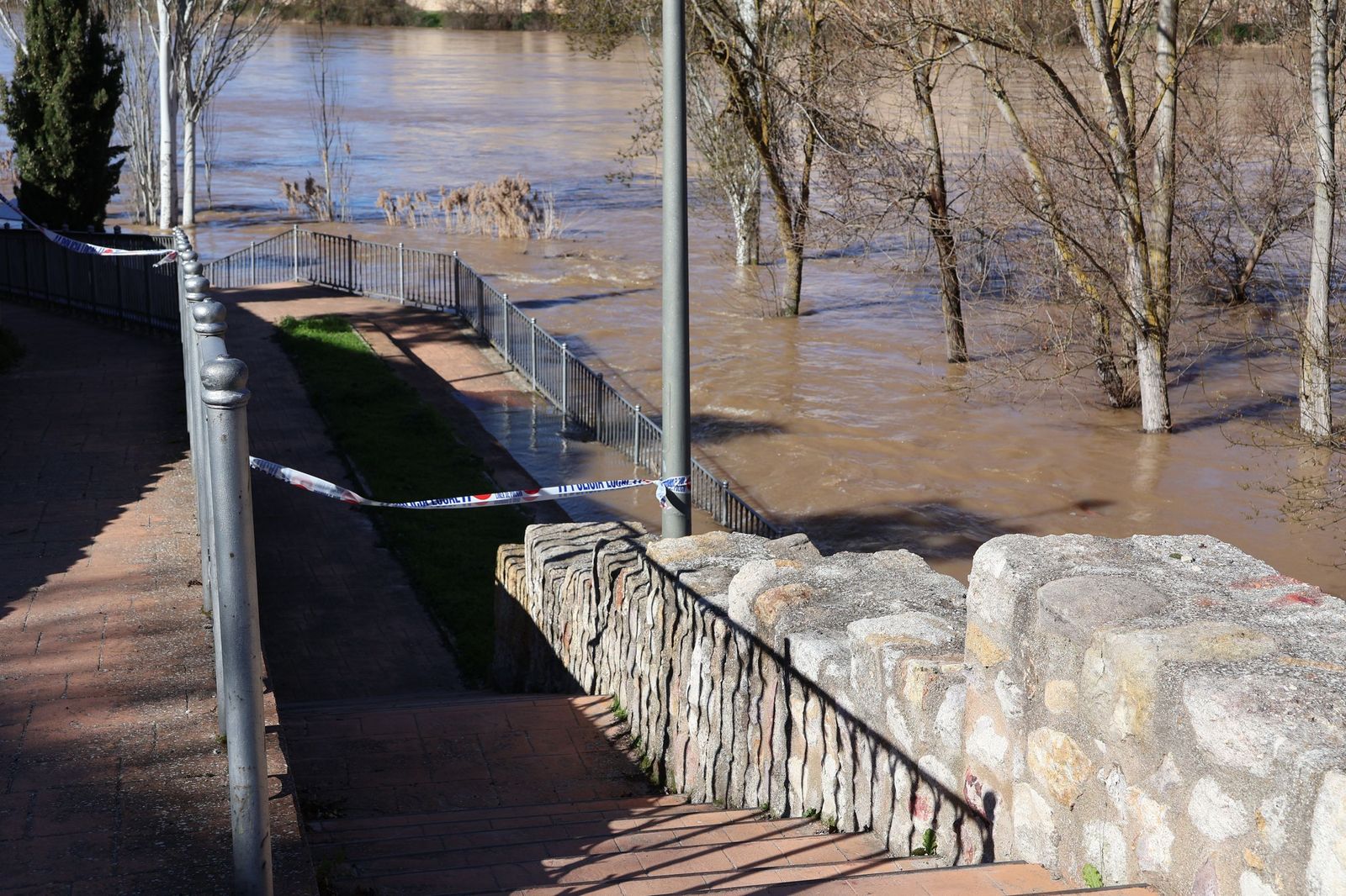 GALERÍA | El Duero muestra su fuerza con una importante crecida tras las lluvias
