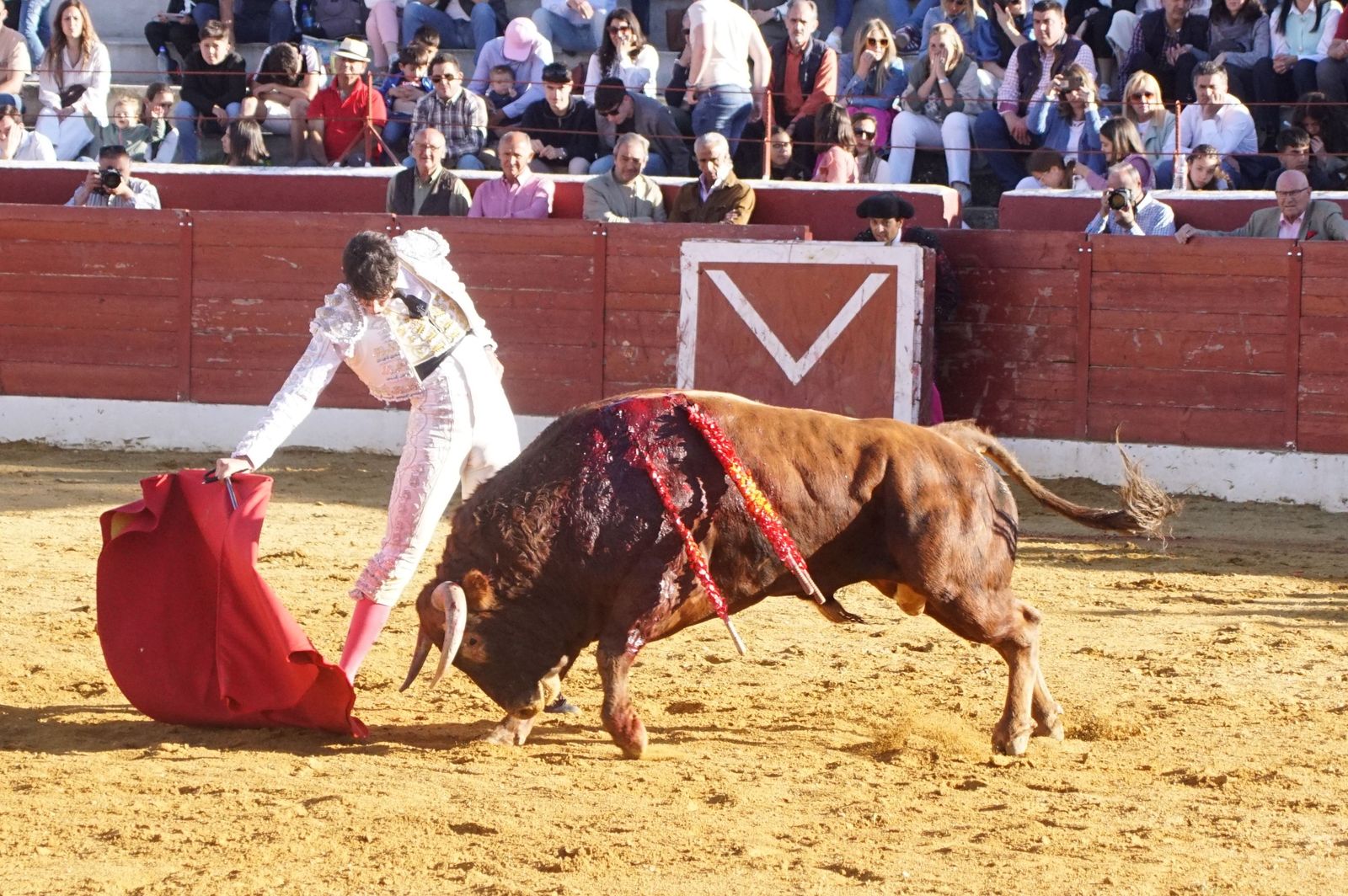 novillada-con-picadores-en-villoria-76