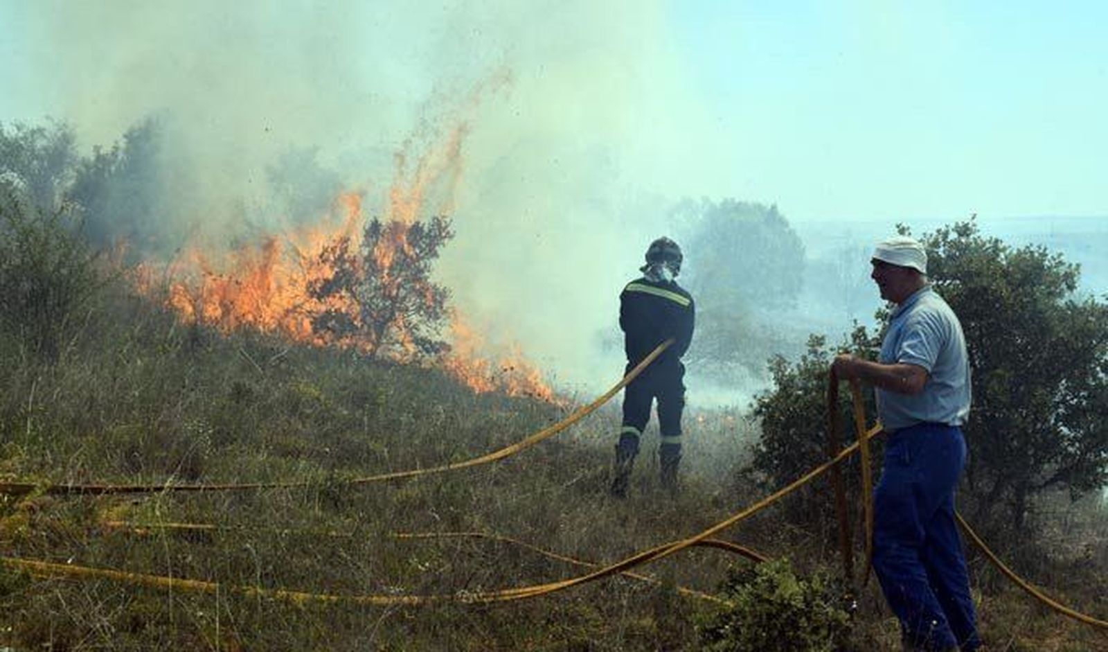 Incendio forestal. Archivo