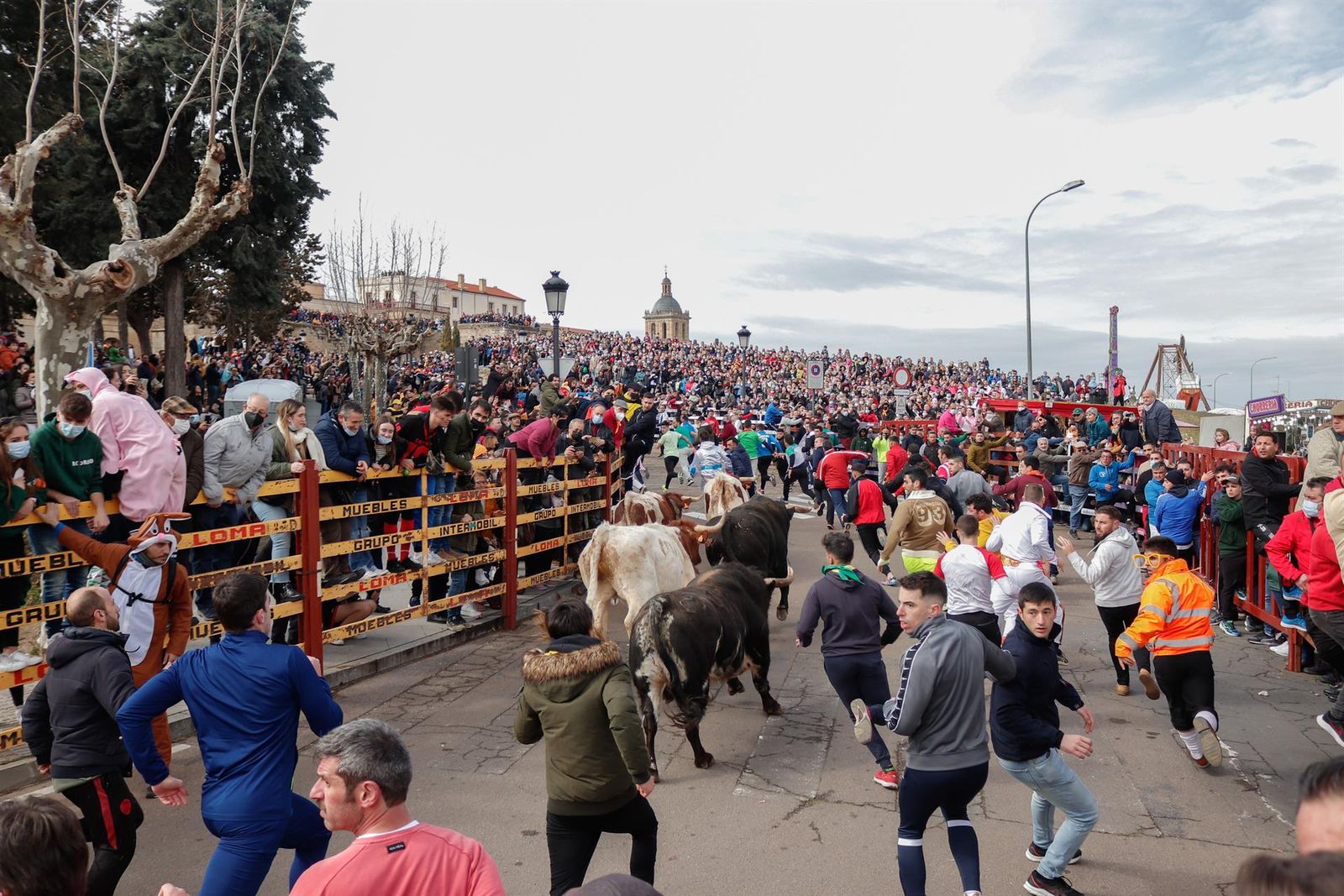 Varias personas corren delante de los toros en un encierro en la Plaza Mayor de Ciudad Rodrigo, a 26 de febrero de 2022-EP