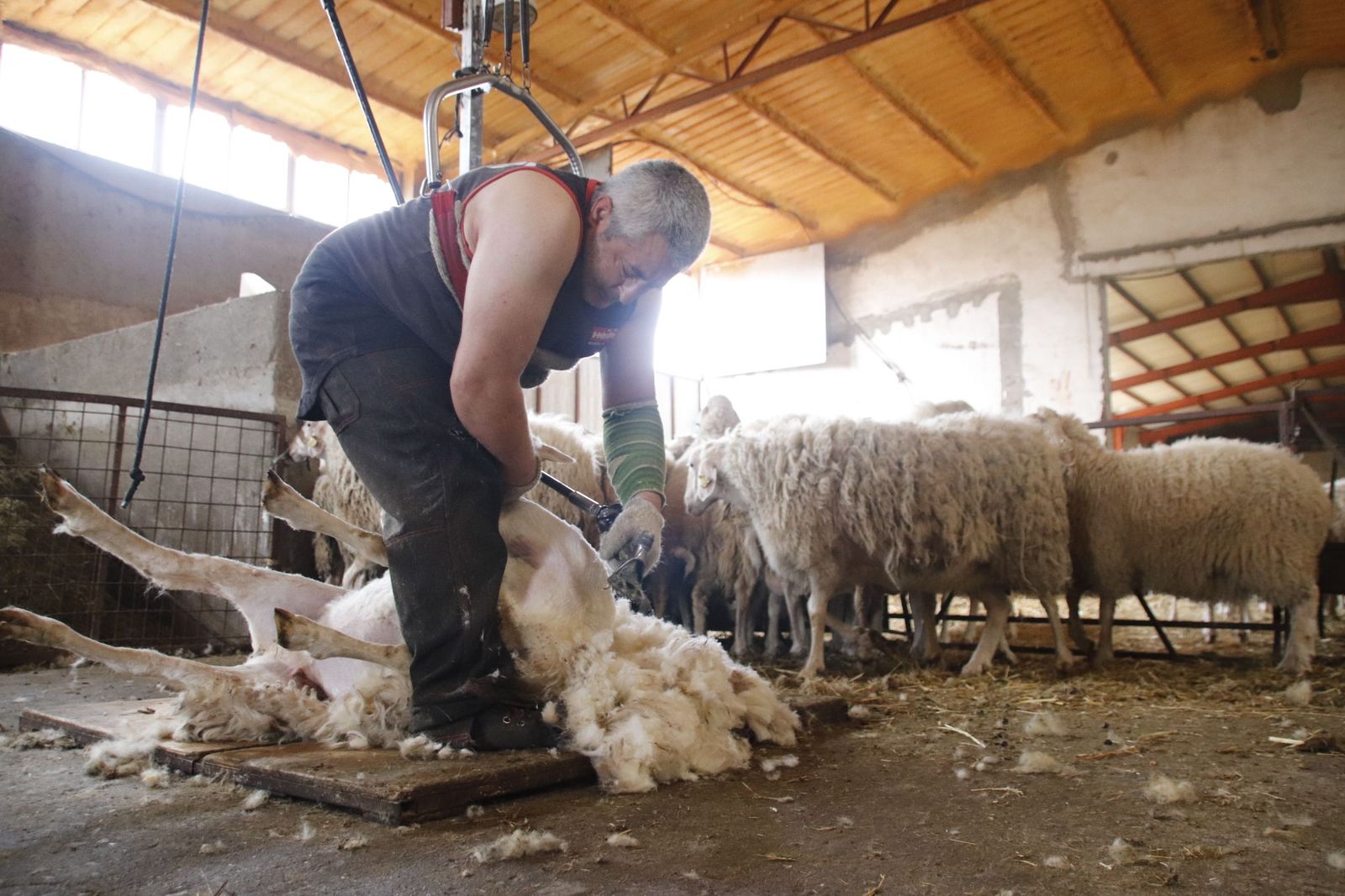 20220520103103-mg-8475