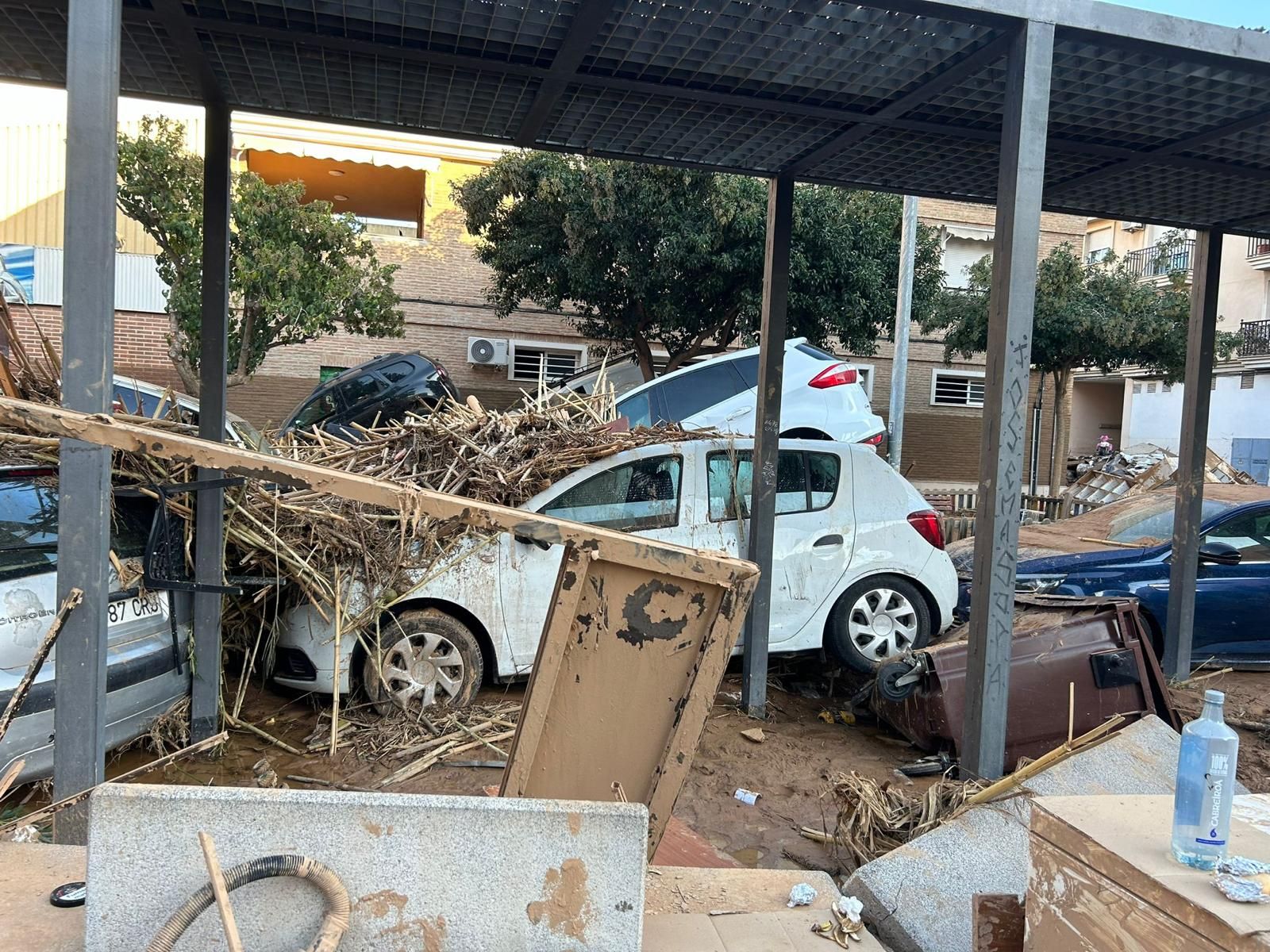 Salmantinos ayudando por la DANA en Valencia y Albacete con recogidas de alimentos