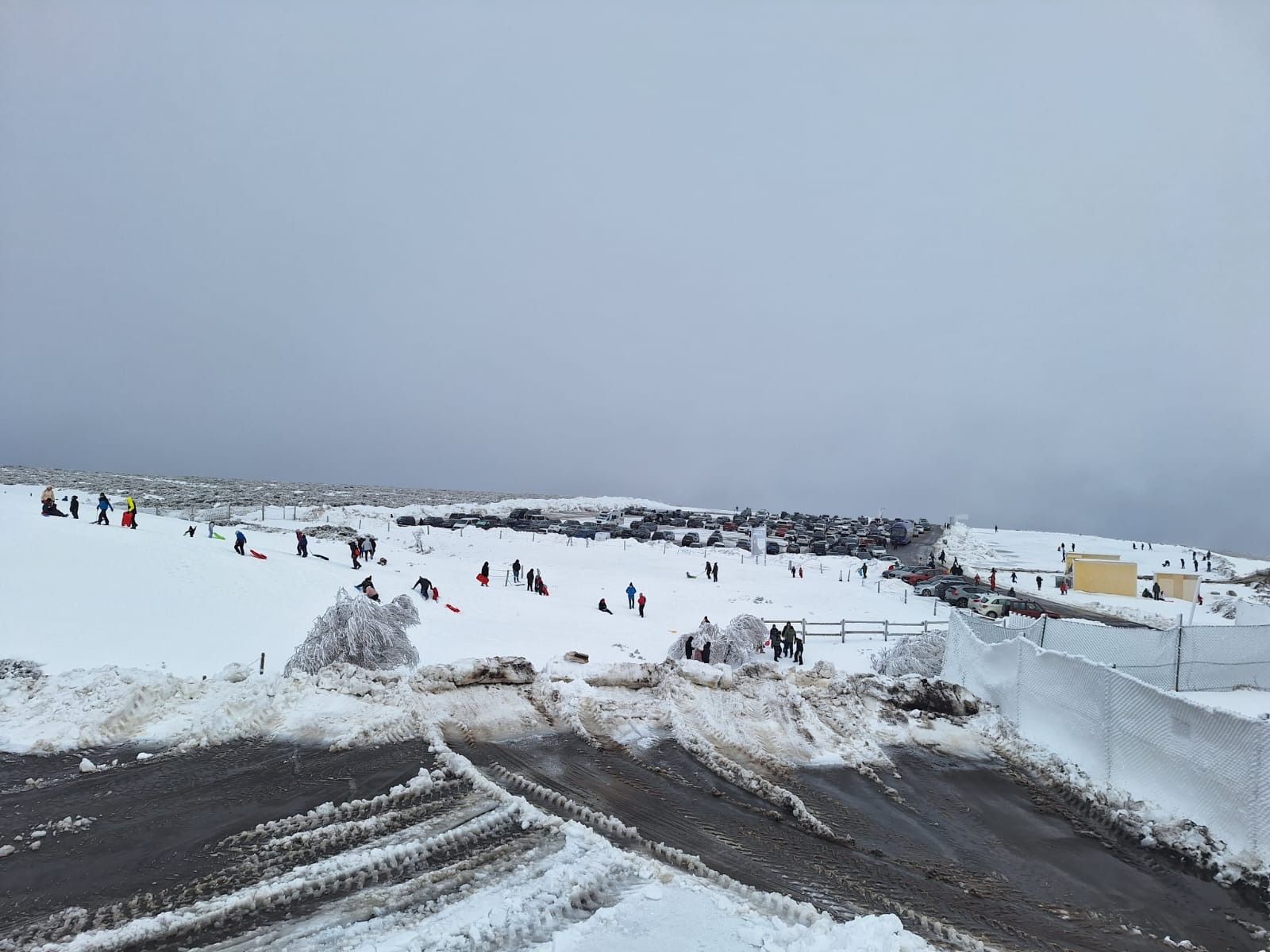 La nieve devuelve la blanca vida a La Covatilla